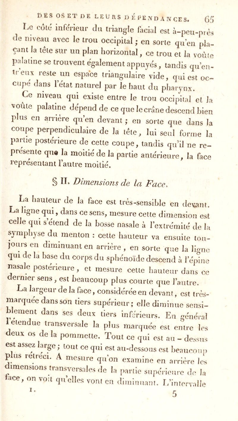 Ï.C côté inférieur du triangle facial est à-peu-près de niveau avec le trou occipital ; en sorte qu’en pla- çant la tête sur un plan horizontal, ce trou et la voùie palaiine se trouvent également appuyés, tandis qu’en- tr’eux reste un espace triangulaire vide, qui est oc- cupe dans l’état naturel par le haut du pharynx. Ce niveau qui existe entre le trou occipital et la voûte palatine dépend de ce que le crâne descend bien plus en arrière qu’en devant ; en sorte que dans la coupe perpendiculaire de la tète, lui seul forme la partie postérieure de cette coupe, tandis qu’il ne re- présente qn« la moitié de la partie antérieure, la face représentant l’autre moitié. § II. Dimensions de la Face. La hauteur de la face est très-sensible en (lésant. La ligne qui, dans ce sens, mesure cette dimension est celle qui s’étend de la bosse nasale à l’extrémité de la symphyse du menton : cette hauteur va ensuite tou- jours en diminuant en arriére , en sorte que la ligne qui de la base du corps du sphénoïde descend à l’épine nasale postérieure , et mesure cette hauteur dans ce dernier sens, est beaucoup plus courte que l’autre. La largeur de la face, considérée en devant, est très- marquee dans son tiers supérieur; elle diminue sensi- ement dans ses deux tiers inférieurs. En général etendue transversale la plus marquée est entre les deux os de la pommette. Tout ce qui est au - dessus est assez large; tout ce qui est au-dessous est henuconi) plus rétréci. A mesure qu’on examine en arrière les dimensions transversales de la partie supérieure do la ace, on voit qu’elles vont en diminuant. L’intervalle