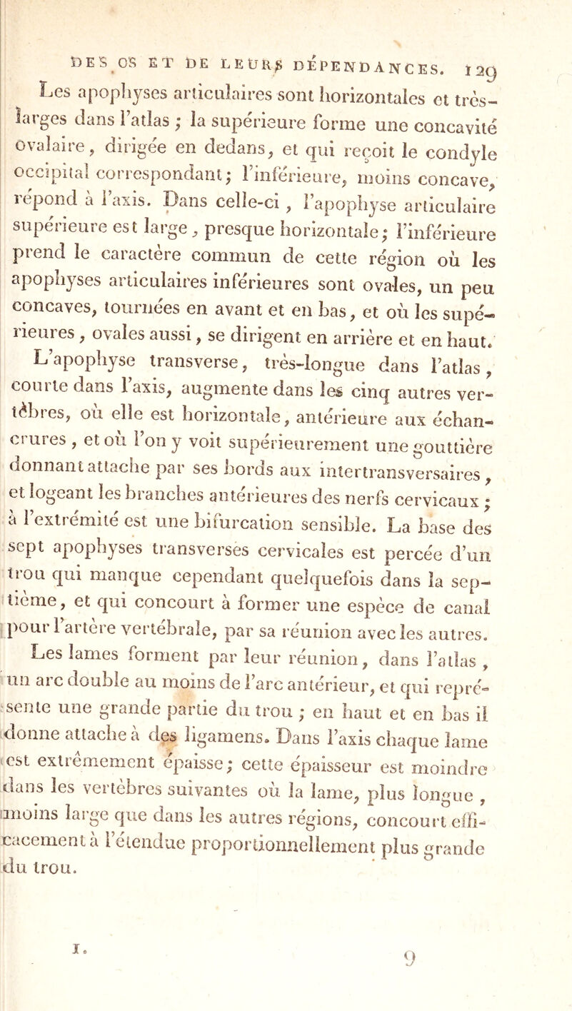 Les apopliyses ardcuîaires sont horizontales et trcs- îarges dans l’atlas ; la supérieure forme une concavité ovalaire, dirigée en dedans, et qui reçoit le condjle occipital correspondant; l’inférieure, moins concave, répond a i axis. Dans celle-ci , l’apophyse articulaire supérieure est large , presque horizontale; l’inférieure prend le caractère commun de cette région où les apophyses articulaires inférieures sont ovales, un peu concaves, tournées en avant et en bas, et où les supé- rieures , ovales aussi, se dirigent en arrière et en haut* L’apophyse Iransverse, très-longue dans l’atlas, couite dans Iaxis, augmente dans les cinq autres ver- tèbies, ou elle est horizontale, anterieure aux échan- crures , et où l’on y voit supérieurement une gouttière donnant attache par ses bords aux intertransversaires, et logeant les blanches anterieures des nerfs cervicaux ; à l’extrémité est une bifurcation sensible. La base des sept apophyses transverses cervicales est percée d’un trou qui manque cependant quelquefois dans la sep- tième, et qui concourt à former une espèce de canal poui 1 aiteie vertébrale, par sa l éunion avec les autres. Les lames forment par leur réunion, dans l’atlas , un arc double au moins de l’arc antérieur, et qui repré« sente une grande partie du trou ; eu haut et en bas il donne attache à des ligamens* Dans l’axis chaque lame est extrêmement épaisse; cette épaisseur est moindre dans les vertèbres suivantes où la lame, plus longue , iinoins large que dans les autres régions, concourt elFi- cacementa l’étendue proportionnellement plus grande du trou. I. {)