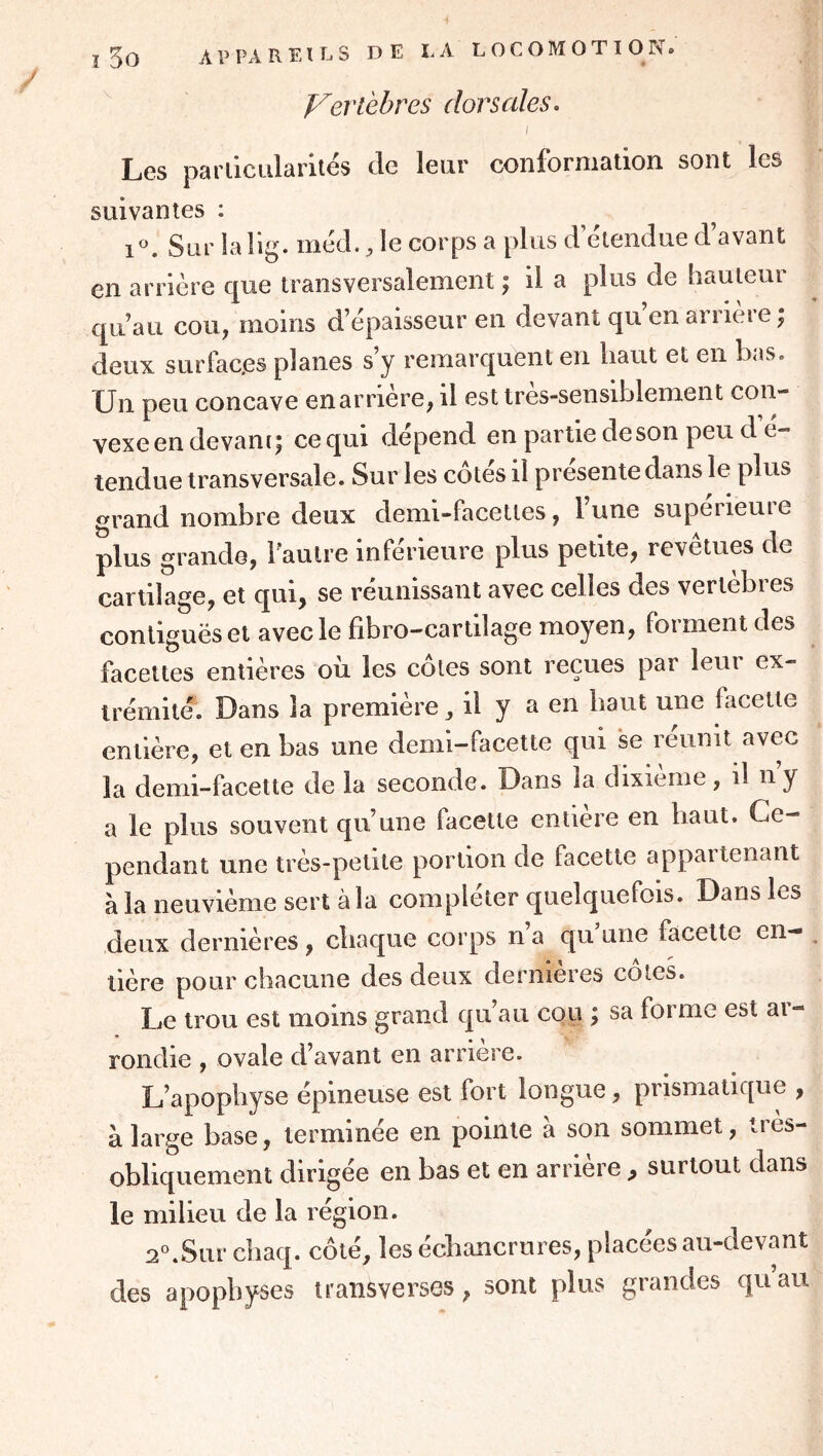 Vertèbres dorsales. I Les panicLilarilés de leur conformation sont les suivantes : i'’. Sur lalig. méd. ^ le corps a plus d’étendue d’avant en arrière que transversalement ; il a plus de hauteur qu’au cou, moins d’épaisseur en devant qu’en arrière ; deux surfaces planes s’y remarquent en haut et en bas. Un peu concave en arrière, il est très-sensiblement con- vexeen devant^ cequi dépend en partie de son peu d e- tendue transversale. Sur les cotes il présenté dans le plus grand nombre deux demi-facettes, lune supeiieuie plus grande, Faulre inférieure plus petite, revêtues de cartilage, et qui, se réunissant avec celles des vertèbres contiguës et avec le fibro-cartilage moyen, forment des facettes entières oii les côtes sont reçues par leur ex- trémité. Dans la première ^ il y a en haut une facette entière, et en bas une demi-facette qui se réunit avec la demi-facette de la seconde. Dans la dixième, il ny a le plus souvent qu’une facette entière en haut. Ce- pendant une très-petite portion de facette appartenant à la neuvième sert à la compléter quelquefois. Dans les deux dernières, chaque corps n a qu une facette en- tière pour chacune des deux dernières côtes. Le trou est moins grand qu’au cou ; sa forme est ar- rondie , ovale d’avant en arriéré. L’apophyse épineuse est fort longue, prismatique , à large base, terminée en pointe a son sommet, lies- obliquement dirigée en bas et en arrière ^ surtout dans le milieu de la région. 2°.Sur chaq. côté, les échancrures, placées au-devant des apophyses transverses, sont plus grandes qu’au