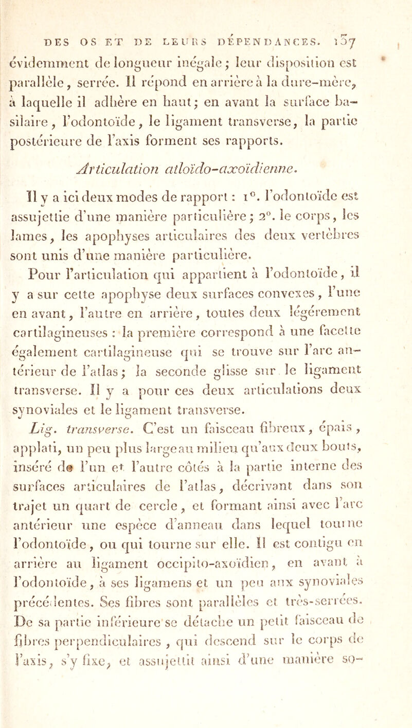 éviclcniDient de longueur inégale ; leur disposition est parallèle, serrée. Il répond en arrière à la dure-mère, à lacpielle il adhère en haut; en avant la surface ba- silaire, Fodonloïde, le ligament transverse, la partie postérieure de Taxis forment ses rapports. Articulation aîloïdo-aæoïdienne. Il V a ici deux modes de rapport : Todonloïdc est assujettie d’une manière particulière; 2°. le corps, les lames, les apophyses articulaires des deux vertèbres sont unis d’une manière particulière. Pour l’articulation cpii appartient à l’odontoïde, il y a sur cette apophyse deux surfaces convexes, l’une en avant, l’autre en arrière, toutes deux légèrement cartilagineuses : la première correspond à une facette également cartilagineuse qui se trouve sur Tare an- térieur de l’atlas ; la seconde glisse sur le ligament transverse. Il y a pour ces deux articulations deux synoviales et le ligament transverse. Lig, transi^erse. C’est un faisceau fibreux, épais , applaîi, un peu plus largeaii milieu qu’aux deux bouts, inséré d@ Fun et l’autre côtés à la partie interne des surfaces articulaires de l’atlas, décrivant dans son trajet un quart de cercle, et formant ainsi avec l’arc antérieur une espèce d’anneau dans lequel tourne l’odontoïde, ou qui tourne sur elle, il est coiitlgu en arrière au ligament occipito-axoïdicn, en avant a l’odontoïde, ii ses îigamens et un peu aux synovia.es précédentes. Ses fibres sont parallèles et irès-senees. De sa partie inférieure se détache un p'etit laisceau de fdnes perpendiculaires , qui descend sur le corps de Taxis, s’y fixe, et assnjetlit ainsi d’une maniéré so-