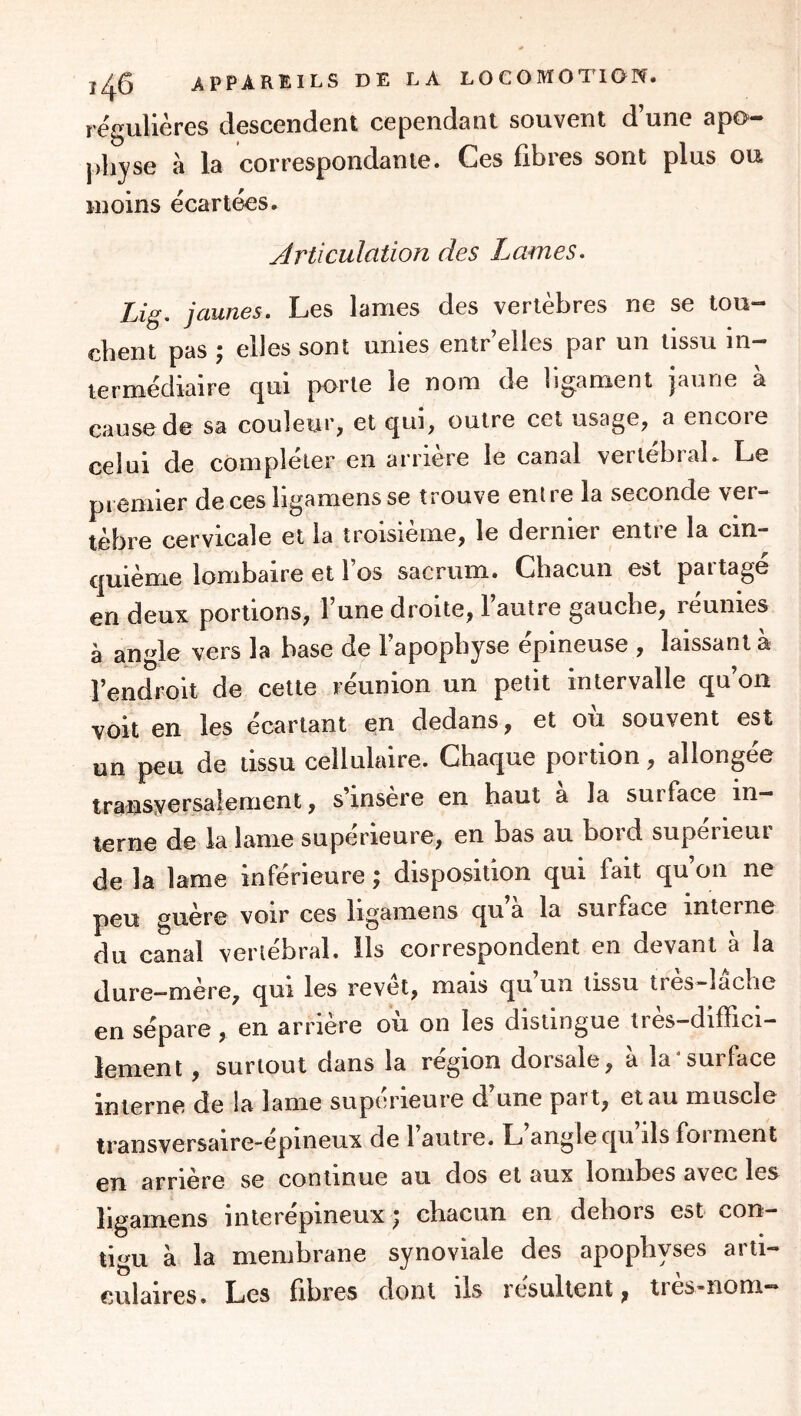 régulières descendent cependant souvent d’une apo- physe à la correspondante. Ces fibres sont plus ou moins écarlécs. Articulation des Lames. Lig, jaunes. Les lames des vertèbres ne se tou- cbent pas y elles sont unies enlr elles par un tissu in*“ terme'diaire qui jXirte le nom de ligament jaune à cause de sa couleur, et qui, outre cet usage, a encore celui de compléter en arrière le canal verlébraL Le premier de ces ligamensse trouve entre la seconde ver- tèbre cervicale et la troisième, le dernier entre la cin- quième lombaire et l’os sacrum. Chacun est partagé en deux portions, l’une droite, l’autre gauche, réunies à angle vers la base de l’apophyse épineuse , laissant à l’endroit de cette réunion un petit intervalle qu’on voit en les écartant en dedans, et où souvent est un peu de tissu cellulaire. Chaque portion, allongée transversalement, s’insère en haut à la surface in- terne de la lame supérieure, en bas au bord supérieur de la lame inférieure ; disposition qui fait qu’on ne peu guère voir ces ligamens qu a la surface interne du canal vertébral, ils correspondent en devant à la dure—mere, qui les revet, mais qu un tissu très—lâche en sépare, en arriéré ou on les distingue très—diffici- lement , surtout dans la région dorsale, à la‘surface interne de la lame supérieure d’une part, et au muscle transversaire'-epineux de 1 autre. L angle qu ils foi ment en arrière se continue au dos et aux lombes avec les ligamens interépineux ; chacun en dehors est con- tigu à la membrane synoviale des apophyses arti- culaires. Les fibres dont ils résultent, tres-nom—