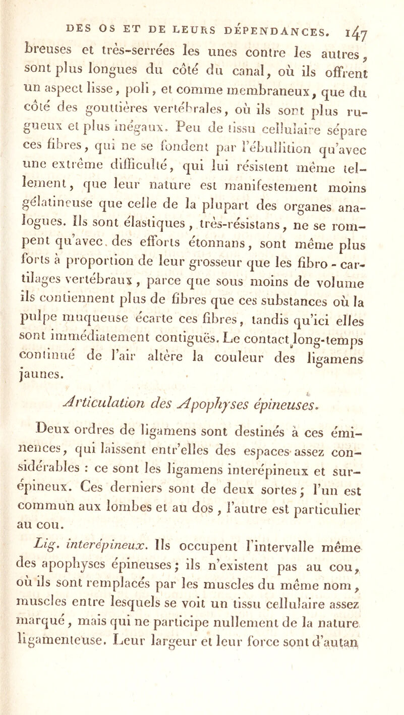breuses et très-serrées les unes contre les autres^ sont plus longues du coté du canal, où ils offrent un aspect lisse, poli, et comme membraneux, que du coté des gouttières vertébrales, où ils sort plus ru- gueux et plus inégaux. Peu de tissu cellulaire sépare ces fibres, qui ne se fondent par réLuliition qu’avec une extiéme difficulté, qui lui résistent meme tel- lement, que leur nature est manifestement moins gélatineuse que celle de la plupart des organes ana- logues. Ils sont élastiques, très-résistans, ne se rom- pent qu’avec, des efforts étonnans, sont même plus forts à proportion de leur grosseur que les fîbro - car- tilages vertébraux , parce que sous moins de volume ils contiennent plus de fibres que ces substances où la pulpe muqueuse écarte ces fibres, tandis qu’ici elles sont immédiatement contiguës. Le contactJong-temps coniinué de l’air altère la couleur des ligamens jaunes. Articulation des Apophyses épineuses. Deux ordres de ligamens sont destinés à ces émi- nences, qui laissent entr’elles des espaces-assez con- sidérables : ce sont les ligamens inlerépineux et sur- épineux. Ces derniers sont de deux sortes; l’un est commun aux lombes et au dos , l’autre est particulier au cou. Lig, interépineux, lis occupent l’intervalle même des apophyses epineuses ; ils n’existent pas au cou, ou ils sont remplaces par les muscles du même nom, muscles entre lesquels se voit un tissu cellulaire assez marque, mais qui ne participe nullement de la nature ligamenteuse. Leur largeur et leur force sont d’autan