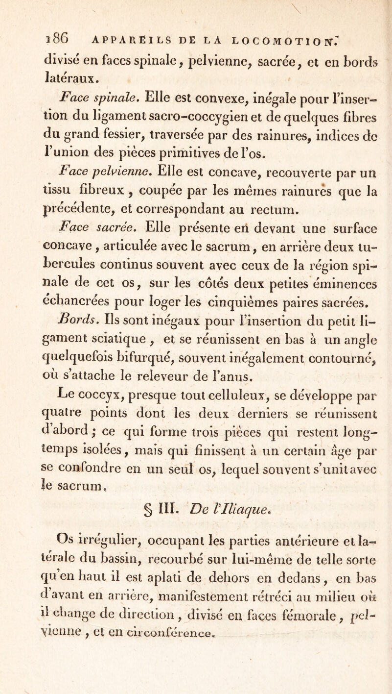 divisé en faces spinale ^ pelvienne; sacrée; et en bords latéraux. Face spinale. Elle est convexe; inégale pour l’inser- tion du ligament sacro-coccygien et de quelques fibres du grand fessier; traversée par des rainures, indices de Funion des pièces primitives de l’os. Face pelvienne. Elle est concave, recouverte par un tissu fibreux , coupée par les mêmes rainures que la précédente; et correspondant au rectum. Face sacrée. Elle présente en devant une surface concave , articulée avec le sacrum, en arrière deux tu- bercules continus souvent avec ceux de la région spi- nale de cet OS; sur les côtés deux petites éminences echancrées pour loger les cinquièmes paires sacrées. Bords, Ils sont inégaux pour l’insertion du petit li- gament sciatique , et se réunissent en bas à un angle quelquefois bifurqué, souvent inégalement contourné, ou s’attache le releveur de l’anus. Le coccyx, presque tout celluleux, se développe par quatre points dont les deux derniers se réunissent d abord ; ce qui forme trois pièces qui restent long- temps isolées, mais qui finissent à un certain âge par se confondre en un seul os, lequel souvent s’unit avec le sacrum. § III. De VIliaque, Os irrégulier, occupant les parties antérieure et la- térale du bassin, recourbé sur lui^même de telle sorte qu en haut il est aplati de dehors en dedans, en bas d avant en arrière, manifestement rétréci au milieu ou il change de direction , divisé en faces fémorale, pci- yiClliie , et en CU'conférence.