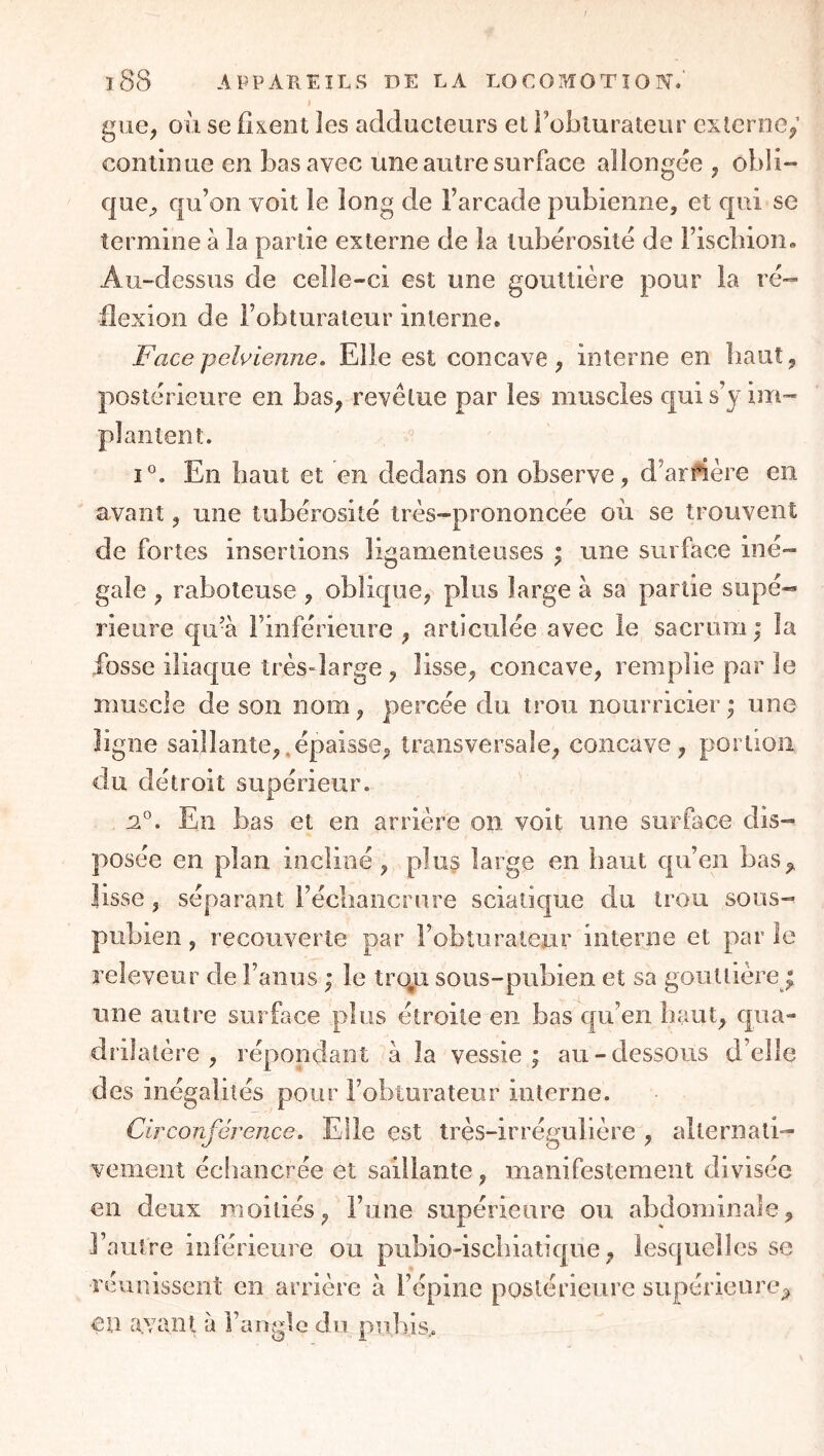 » gue^ où se fixent les adducteurs et Foblurateur externe; continue en bas avec une autre surface aliongée , obli- que^ qu’on voit le long de l’arcade pubienne, et qui se termine à la partie externe de la tubérosité de l’iscbioiî» Au-dessus de celle-ci est une gouttière pour la ré- flexion de l’obturateur interne. Face -pelvienne. Elle est concave , interne en haut, postérieure en bas^ revêtue par les muscles qui s’y im- plantent. 1°. En haut et en dedans on observe, d’arrtère en avant, une tubérosité très-prononcée où se trouvent de fortes insertions ligamenteuses ; une surface iné- gale , raboteuse, oblique, plus large à sa partie supé- rieure qu’à l’inférieure , articulée avec le sacrum ; la fosse iliaque très-large , lisse, concave, remplie par le muscle de son nom, percée du trou nourricieiy; une ligne saillante,.épaisse, transversale, concave, portion du détroit supérieur. F. En bas et en arrière on voit une surface dis- posée en plan incliné, plu§ large en haut qu’en bas,, lisse, séparant l’écliancrure sciatique du trou sous- pubien , recouverte par l’obturateur interne et par le releveur de l’anus ; le trq,u sous-pubien et sa gouttière ; une autre surface plus étroite en bas qu’en haut, qua- drilatère , répondant à la vessie; au-dessous d’elle des inégalités pour l’obturateur interne. Circonférence, Elle est très-irrégulière , alternati- vement écliancrée et saillante, manifestement divisée en deux moitiés, l’une supérieure ou abdominale, l’autre inférieure ou pubio-iscbiatique, lesquelles se réunissent en arrière à l’épine postérieure supérieure^ eii avant à l’angle du pubis,.