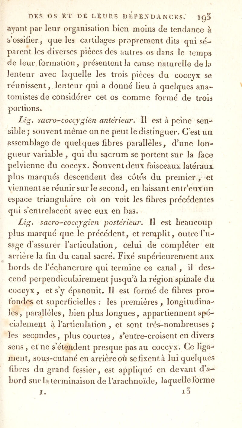 ayant par leur organisation bien moins de tendance à s’ossifier, que les cartilages proprement dits qui sé- parent les diverses pièces des autres os dans le temps de leur formation, présentent la cause naturelle delà lenteur avec laquelle les trois pièces du coccyx se réunissent, lenteur qui a donné lieu à quelques ana- tomistes de considérer cet os comme formé de trois portions. Lig. sacro-^coccjgien antérieur. Il est a peine sen- sible ; souvent même on ne peut le distinguer. C est un assemblage de quelques fibres parallèles, d’une lon- gueur variable , qui du sacrum se portent sur la face pelvienne du coccyx. Souvent deux faisceaux latéraux plus marqués descendent des côtés du premier , et viennent se réunir sur le second, en laissant entr’euxun espace triangulaire oii on voit les fibres précédentes qui s’entrelacent avec eux en bas. Lig, sacro-coccjgien postérieur. Il est beaucoup plus marqué que le précédent, et remplit, outre l’u- sage d’assurer l’articulation, celui de compléter en arrière la fin du canal sacré. Fixé supérieurement aux bords de l’échancrure qui termine ce canal , il des- cend perpendiculairement Jusqu’à la région spinale du coccyx, et s’y épanouit. Il est formé de fibres pro- fondes et superficielles : les premières , longitudina- les, parallèles, bien plus longues, appartiennent spé- cialement à l’articulation , et sont très-nombreuses ; les secondes, plus courtes, s’entre-croisent en divers sens, et ne s’étendent presque pas au coccyx. Ce liga- ment, sous-cutané en arrièreoù se fixent à lui quelques fib rcs du grand fessier, est appliqué en devant d’a- bord sur la terminaison de Farachnoïde, laquelle forme i5