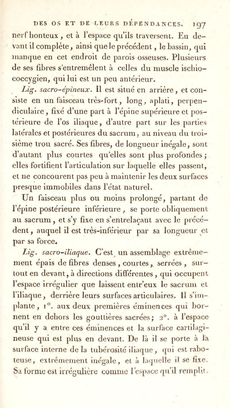 nerf honteux , et à l’espace qu’ils traversent. Eu de- vaut il complète, ainsi que le précèdent, le bassin, qui manque en cet endroit de parois osseuses. Plusieurs de ses fibres s’entremêlent à celles du muscle ischio- coccygien, qui lui est un peu antérieur. Lig, sacrO-épineux. H est situé en arrière, et con» slsle en un faisceau très-fort, long, aplati, perpen- diculaire , fixé d’une part à l’épine supérieure et pos- térieure de l’os iliaque, d’autre part sur les parties latérales et postérieures du sacrum, au niveau du troi- sième trou sacré. Ses fibres, de longueur inégale, sont d’autant plus courtes qu’elles sont plus profondes ; elles fortifient l’articulation sur laquelle elles passent, et ne concourent pas peu à maintenir les deux surfaces presque Immobiles dans l’état naturel. Un faisceau plus ou moins prolongé, partant de l’épine postérieure inférieure , se porte obliquement au sacrum, et s’y fixe en s’entrelaçant avec le précé- dent , auquel il est très-inférieur par sa longueur et par sa force. Lîg. sacro^ilîaque. C’est^ un assemblage extrême- ment épais défibrés denses , courtes, serrées, sur- tout en devant, à directions différentes , qui occupent l’espace irrégulier que laissent entr’eux le sacrum et l’iliaque, derrière leurs surfaces articulaires. 11 s’im- plante , 1°. aux deux premières éminences qui bor- nent en dehors les gouttières sacrées; 2^. à l’espace qu’il y a entre ces éminences et la surface cartilagi- neuse qui est plus en devant. De là il se porte à la surface interne de la tubérosité iliaque , qui est rabo- teuse, extrêmement inégale, et à laquelle il se fixe. Sa forme est irrégulière comme l’espace qu’il remplit.