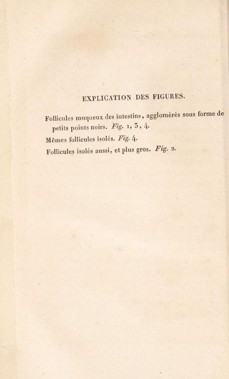 EXPLICATION DES FIGURES. Follicules muqueux (les intestins, agglomérés sous forme petits points noirs. i&gt; 3, 4* Mêmes follicules isolés. Fi^. 4* Follicules isolés aussi, et plus gros. Fig. 2.