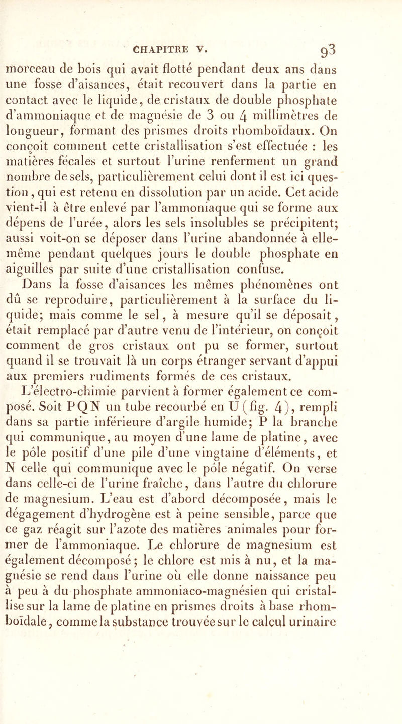 morceau de bois qui avait flotté pendant deux ans dans une fosse d’aisances, était recouvert dans la partie en contact avec le liquide, de cristaux de double phosphate d’ammoniaque et de magnésie de 3 ou [\ millimètres de longueur, formant des prismes droits rhomboïdaux. On conçoit comment cette cristallisation s’est effectuée : les t&gt; matières fécales et surtout l’urine renferment un grand nombre de sels, part iculièrement celui dont il est ici ques- tion , qui est retenu en dissolution par un acide. Cet acide vient-il à être enlevé par l’ammoniaque qui se forme aux dépens de l’urée, alors les sels insolubles se précipitent; aussi voit-on se déposer dans l’urine abandonnée à elle- même pendant quelques jours le double phosphate en aiguilles par suite d’une cristallisation confuse. Dans la fosse d’aisances les mêmes phénomènes ont dû se reproduire, particulièrement à la surface du li- quide; mais comme le sel, à mesure qu’il se déposait, était remplacé par d’autre venu de l’intérieur, on conçoit comment de gros cristaux ont pu se former, surtout quand il se trouvait là un corps étranger servant d’appui aux premiers rudiments formés de ces cristaux. L’électro-chimie parvient à former également ce com- posé. Soit PQN un tube recourbé en U (fig. 4), rempli dans sa partie inférieure d’argile humide; P la branche qui communique, au moyen d’une lame de platine, avec le pôle positif d’une pile d’une vingtaine d’éléments, et N celle qui communique avec le pôle négatif. On verse dans celle-ci de l’urine fraîche, dans l’autre du chlorure de magnésium. L’eau est d’abord décomposée, mais le dégagement d’hydrogène est à peine sensible, parce que ce gaz réagit sur l’azote des matières animales pour for- mer de l’ammoniaque. Le chlorure de magnésium est également décomposé; le chlore est mis à nu, et la ma- gnésie se rend dans l’urine ou elle donne naissance peu à peu à du phosphate ammoniaco-magnésien qui cristal- lise sur la lame de platine en prismes droits à base rhom- boïdale, comme la substance trouvée sur le calcul urinaire