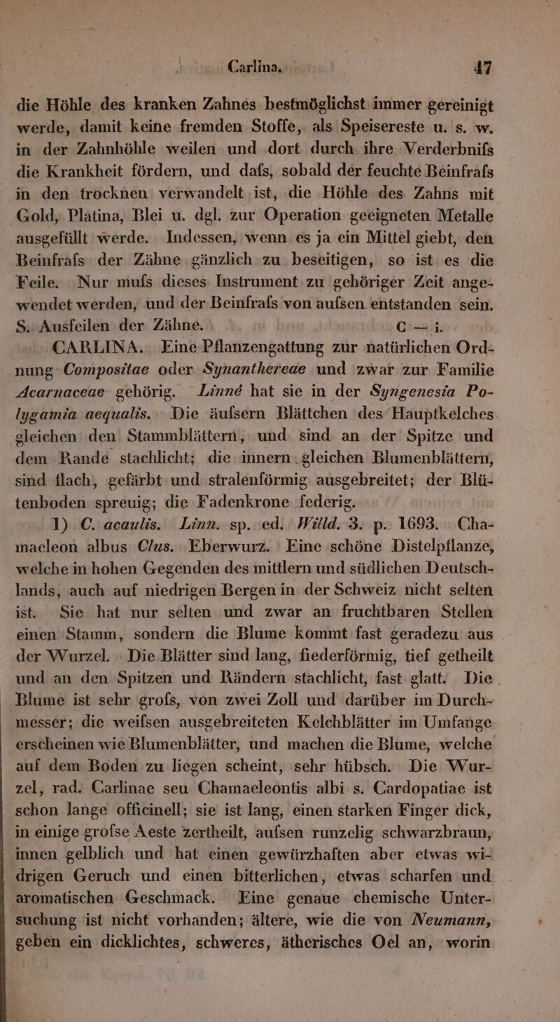 die Höhle des kranken Zahnes bestmöglichst immer gereinigt werde, damit keine fremden Stoffe,. als Speisereste u. s. w. in der Zahnhöhle weilen und .dort durch. ihre Verderbnifs die Krankheit fördern, und dafs, sobald der feuchte Beinfrafs in den trocknen verwandelt ist, die Höhle des Zahns mit Gold, Platina, Blei u. dgl. zur Operation geeigneten Metalle ausgefüllt werde. Indessen, wenn es ja ein Mittel giebt, den Beinfrafs der Zähne gänzlich zu. beseitigen, so ist. es die Feile. ‘Nur mus dieses Instrument zu gehöriger Zeit ange- wendet werden, und der Beinfrafs von aufsen entstanden sein. S.: Ausfeilen der Zähne. Crs#iß, CARLINA. . Eine Pflanzengattung zur natürlichen Ord- nung-Compositae oder Synanthereae und zwar zur Familie Acarnaceae gehörig. Linne hat sie in der Syngenesia Po- Iygamia aequalis.: Die äufsern Blättchen ‘des Hauptkelches gleichen den Stammblättern, und: sind an der Spitze und dem Rande stachlicht; die innern . gleichen Blumenblättern, sind flach, gefärbt und stralenförmig ausgebreitet; der Blü- tenboden spreuig; die Fadenkrone federig. 1) C. acaulis. Linn. sp. ed. Wild. 3: p.: 1693. Cha- macleon albus C/us. Eberwurz. Eine schöne Distelpflanze, welche in hohen Gegenden des mittlern und südlichen D eutsch- lands, auch auf niedrigen Bergen in: der Schweiz nicht selten ist. Sie hat nur selten und zwar an fruchtbaren Stellen einen ‘Stamm, sondern die Blume kommt fast geradezu aus der Wurzel. Die Blätter sind lang, fiederförmig, tief getheilt und an den Spitzen und Rändern stachlicht, fast glatt. Die. Blume ist sehr grofs, von zwei Zoll und darüber im Durch- messer; die weifsen ausgebreiteten Kelchblätter im Umfange erscheinen wie Blumenblätter, und machen die Blume, welche auf dem Boden zu liegen scheint, sehr hübsch. Die Wur- zel, rad. Carlinae seu Chamaeleontis albi s. Cardopatiae ist schon lange officinell; sie ist lang, einen starken Finger dick, in einige grolse Aeste zertheilt, aufsen runzelig schwarzbraun, innen gelblich und hat einen gewürzhaften aber etwas wi- aromatischen Geschmack. Eine genaue chemische Unter- geben ein dicklichtes, schweres, ätherisches Oel an, worin