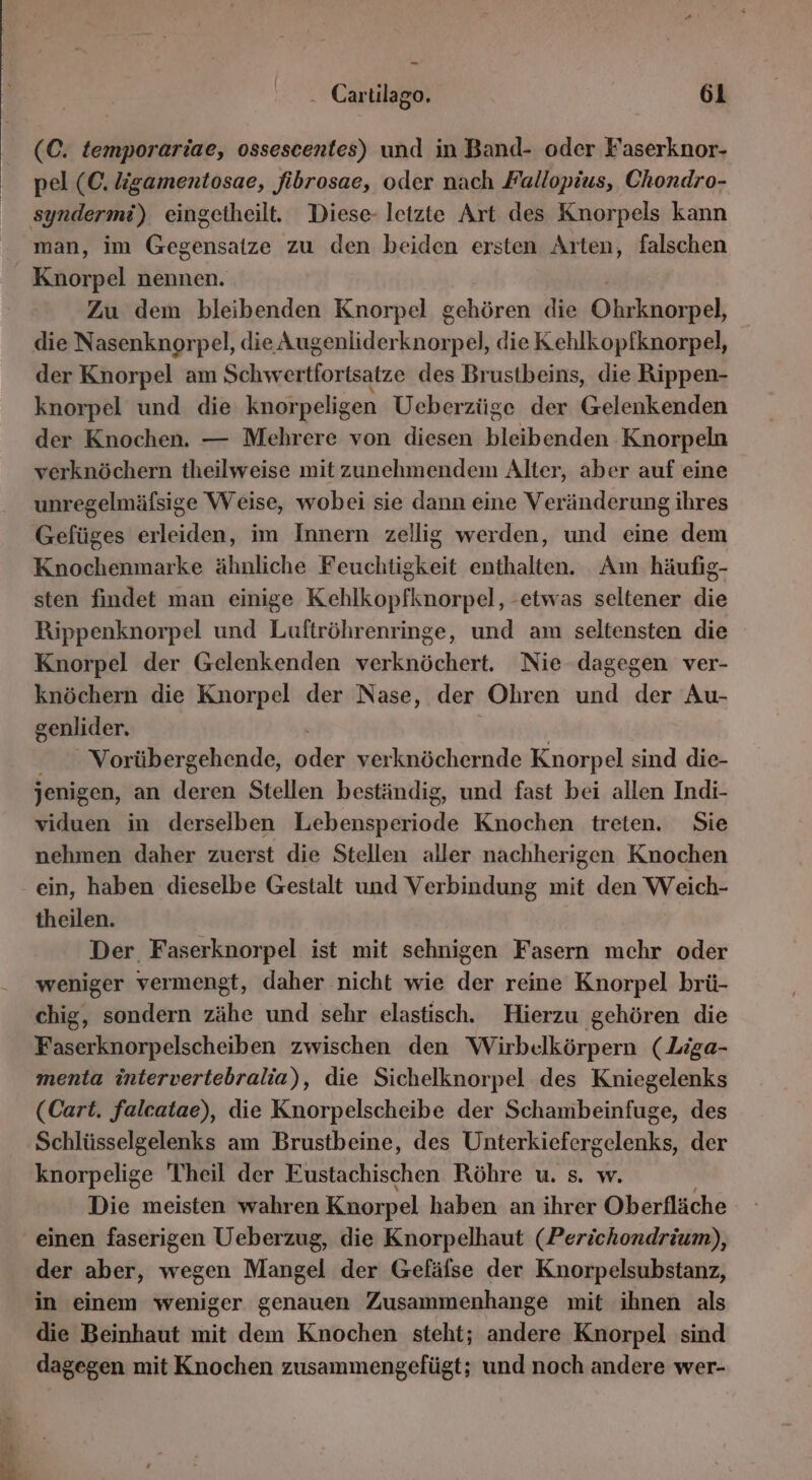 (C. temporariae, ossescentes) und in Band- oder Faserknor- pel (C. igamentosae, fibrosae, oder nach Fallopius, Chondro- man, im Gegensatze zu den beiden ersten Arten, falschen Kchpel nennen. Zu dem bleibenden Knorpel gehören die Okskherpeh die Nasenknorpel, die Augenlider korag pel, die Kehlkopfknorpel, der Knorpel am Schwertfortsatze des Brustbeins, die Rippen- knorpel und die knorpeligen Ueberzüge der Gelenkenden der Knochen. — Mehrere von diesen bleibenden Knorpeln verknöchern theilweise mit zunehmendem Alter, aber auf eine unregelmäfsige Weise, wobei sie dann eine Veränderung ihres Gefüges erleiden, im Innern zellig werden, und eine dem Knochenmarke ähnliche Feuchtigkeit enthalten. Am häufig- sten findet man einige Kehlkopfknorpel, -etwas seltener die Rippenknorpel und Luftröhrenringe, und am seltensten die Knorpel der Gelenkenden verknöchert. Nie dagegen ver- knöchern die Knorpel der Nase, der Ohren und der Au- genlider. Vorübergehende, ge verknöchernde Knorpel sind die- jenigen, an die en Stellen beständig, und fast bei allen Indi- viduen in derselben Lebensperiode Knochen treten. Sie nehmen daher zuerst die Stellen aller nachherigen Knochen ein, haben dieselbe Gestalt und Verbindung mit den Weich- theilen. Der. Faserknorpel ist mit sehnigen Fasern mehr oder weniger vermengt, daher nicht wie der reine Knorpel brü- chig, sondern zähe und sehr elastisch. Hierzu gehören die Faserknorpelscheiben zwischen den Wirbelkörpern (Liga- menta intervertebralia), die Sichelknorpel des Kniegelenks (Cart. falcatae), die Knorpelscheibe der Schambeinfuge, des knorpelige Theil der Eustachischen Röhre u. s. w. Die meisten wahren Knorpel haben an ihrer Oberfläche einen faserigen Ueberzug, die Knorpelhaut (Perichondrium), der aber, wegen Mangel der Gefäfse der Knorpelsubstanz, in einem weniger genauen Zusammenhange mit ihnen als die Beinhaut mit dem Knochen steht; andere Knorpel sind dagegen mit Knochen zusammengefügt; und noch andere wer-