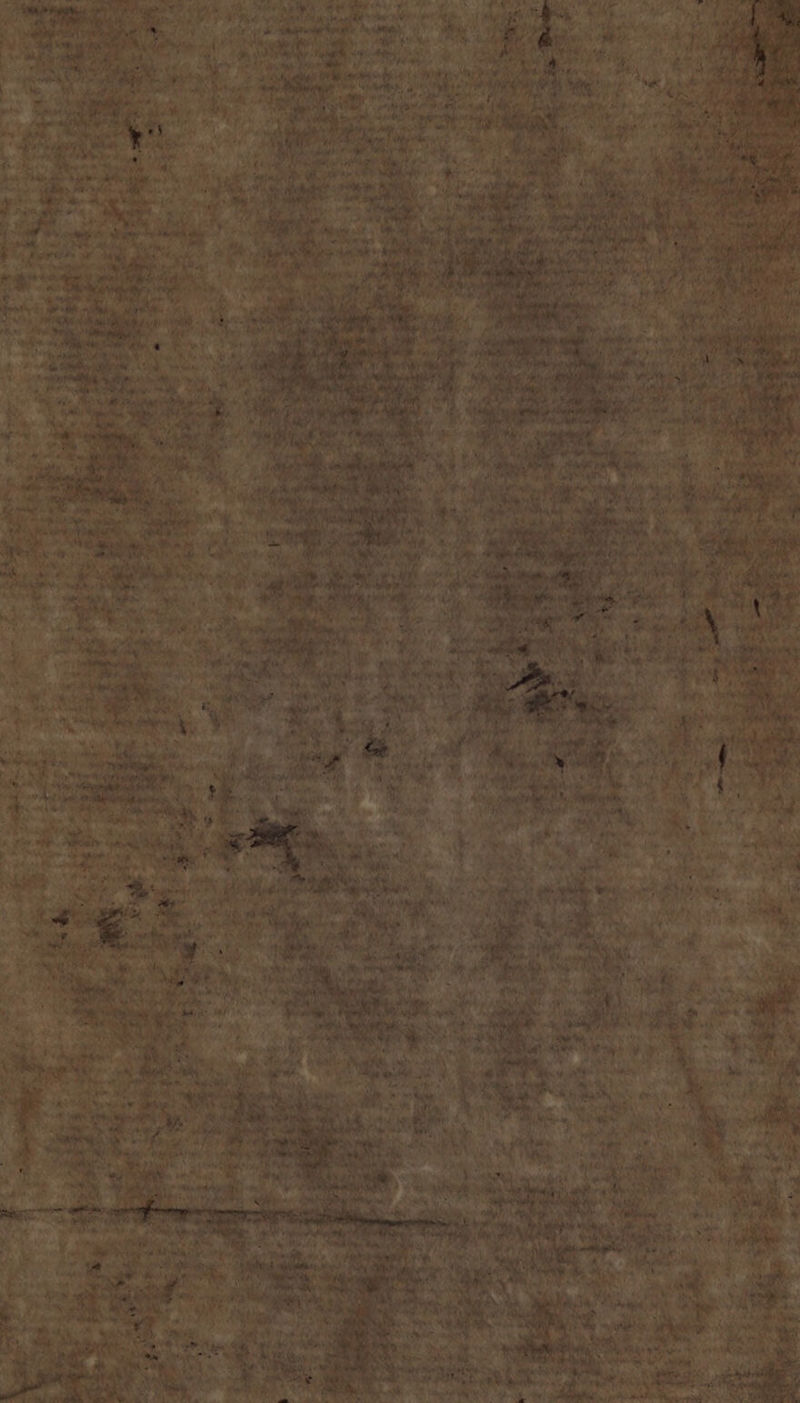 etc * perg Nei da; î x vie tip e Ng e Pai n VIIIINVA ife da (gf Ale