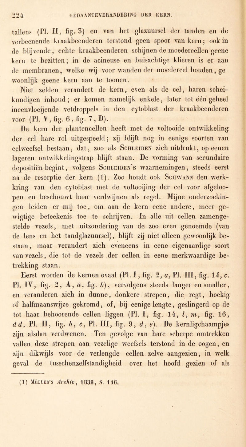 tallens (PI. 11, fig. 3) en van het glazuursel der tanden en de verbeenende kraakbeenderen terstond geen spoor van kern; ook in de blijvende, echte kraakbeenderen schijnen de moedercellen geene kern te bezitten; in de acineuse en buisachtige klieren is er aan de membranen, w^elke wij voor w anden der moedercel houden, ge w^oonlijk geene kern aan te toonen. Niet zelden verandert de kern, even als de cel, haren schei¬ kundigen inhoud ; er komen namelijk enkele, later tot één geheel ineenvloeijende vetdroppels in den cytoblast der kraakbeenderen voor (PL Y,fig. 6,fig. 7,D). De kern der plantencellen heeft met de voltooide ontwikkeling der cel hare rol uitgespeeld; zij blyft nog in eenige soorten van celweefsel bestaan, dat, zoo als Sciileiden zich uitdrukt, op eenen lageren ontwikkelingstrap blijft staan. De vorming van secundaire depositiën begint, volgens Schleiden’s waarnemingen, steeds eerst na de resorptie der kern (1). Zoo houdt ook Sciiwann den werk¬ kring van den cytoblast met de voltooijing der cel voor afgeloo- pen en beschouwt haar verdwijnen als regel. Mijne onderzoekin¬ gen leiden er mij toe, om aan de kern eene andere, meer ge- wigtige beteekenis toe te schrijven. In alle uit cellen zamenge- stelde vezels, met uitzondering van de zoo even genoemde (van de lens en het tandglazuursel), blijft zij niet alleen gewoonlijk be¬ staan, maar verandert zich eveneens in eene eigenaardige soort van vezels, die tot de vezels der cellen in eene merkw^aardige be¬ trekking staan. Eerst worden de kernen ovaal (PI. I, fig. 2, a, PI. III, fig. 14, c. PI. IV, fig. 2, A, ö5, fig. /^), vervolgens steeds langer en smaller, en veranderen zich in dunne, donkere strepen, die regt, hoekig of halfmaanswijze gekromd, of, bij eenige lengte, geslingerd op de tot haar behoorende cellen liggen (PI. I, fig. 14, /, m, fig. 16, cld, PI. II, fig. by c, PI. III, fig. 9, d, e). De kernligchaampjes zyn alsdan verdwenen. Ten gevolge van hare scherpe omtrekken vallen deze strepen aan vezelige weefsels terstond in de oogen, en zijn dikwdjls voor de verlengde cellen zelve aangezien, in w^elk geval de tusschenzelfstandigheid over het hoofd gezien of als