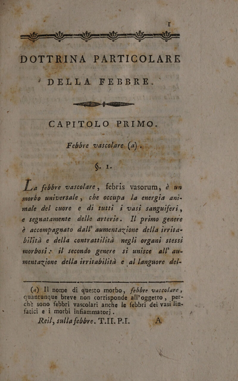 NA PARTICOLARE CAPITOLO PRIMO. —» Ni La ACRARI , &gt; i P * +0 Ò \ Febbre vascolare (a)iuco 0 Pod pi sn A go ® Pepe (Wi È H } ‘ Fi Ei ga, ) dI ] sa febbre vascolare, febris vasorum, è #n morbo universale , che occupa la energia ani- 7 è iS: . . . . « ‘male del cuore e di tutti 1 vasi sanguiferi, ‘ i gd è accompagnato dall’ aumentazione della irrita- ‘bilità e della contrattilità negli organi stessi morbosi » il secondo genere si unisce all’ au- mentazione della irritabilità e al languore del- —- _— cc cnecve=s q o sens (4) Il nome di questo morbo, febbre vascolare, quantunque breve non corrisponde all’oggetto, per- chè sono febbri vascolari anche le febbri dei vasi lin- fatici e i morbi infiammatori. Reil, sulla febbre. T.II.P.I. = GA