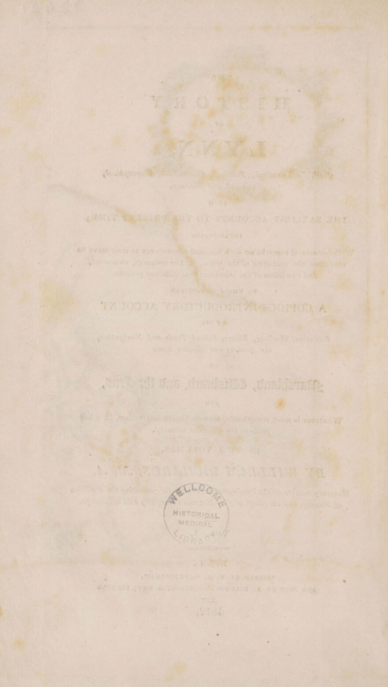 pl selieee i aaisteen a | bahia 10 2 es uvioa ge bat Ps ‘is “rasaateagy * : nos, ie paeaapeenerdams a7 re eon co ae ay Cast a ae “tae