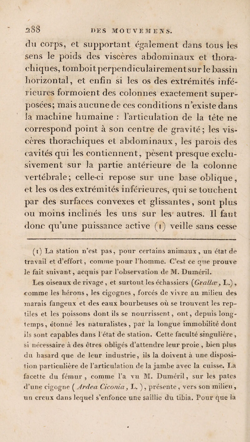 / 38 DES MOUVEMENS. du corps, et supportant également dans tous les sens le poids des viscères abdominaux et tliora- cliiques, tomboit perpendiculairement sur le bassin horizontal, et enfin si les os des extrémités infé¬ rieures formoient des colonnes exactement super¬ posées; mais aucune de ces conditions n’existe dans la machine humaine : l’articulation de la tête ne correspond point à son centre de gravité ; les vis¬ cères thorachiques et abdominaux, les parois des cavités qui les contiennent, pèsent presque exclu¬ sivement sur la partie antérieure de la colonne vertébrale; celle-ci repose sur une base oblique, et les os des extrémités inférieures, qui se touchent par des surfaces convexes et glissantes, sont plus ou moins inclinés les uns sur les* autres. Il faut donc qu’une puissance active (i) veille sans cesse (r) La station n’est pas, pour certains animaux, un état de travail et d’effort, coniîne pour l’homme. C’est ce que prouve le fait suivant, acquis par l’observation de M. Duméril. Les oiseaux de rivage , et surtout les échassiers {Gîallœ, L.) , comme les hérons, les cigognes , forcés de vivre au milieu des marais fangeux et des eaux bourbeuses où se trouvent les rep¬ tiles et les poissons dont ils se nourrissent, ont, depuis long¬ temps, étonné les naturalistes, par la longue immobilité dont ils sont capables dans l'état de station. Cette faculté singulière, si nécessaire à des êtres obligés d’attendre leur proie , bien plus du hasard que de leur industrie, ils la doivent à une disposi¬ tion particulière de l’articulation de la jambe avec la cuisse. La facette du fémur, comme l’a vu M. Duméril, sur les pâtes d’une cigogne ( Ardea Ciconia, L. ) , présente, vers son milieu, un creux dans lequel s’enfonce une saillie du tibia. Pour que la