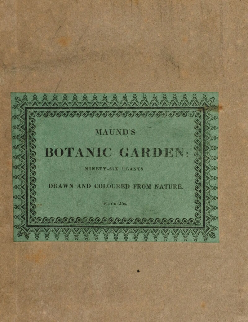 MAUND'S BOTANIC GARDEN NINETY-SIX l- EANTS DRAWN AND COLOURED FROM NATURE, ruiCR 25s,