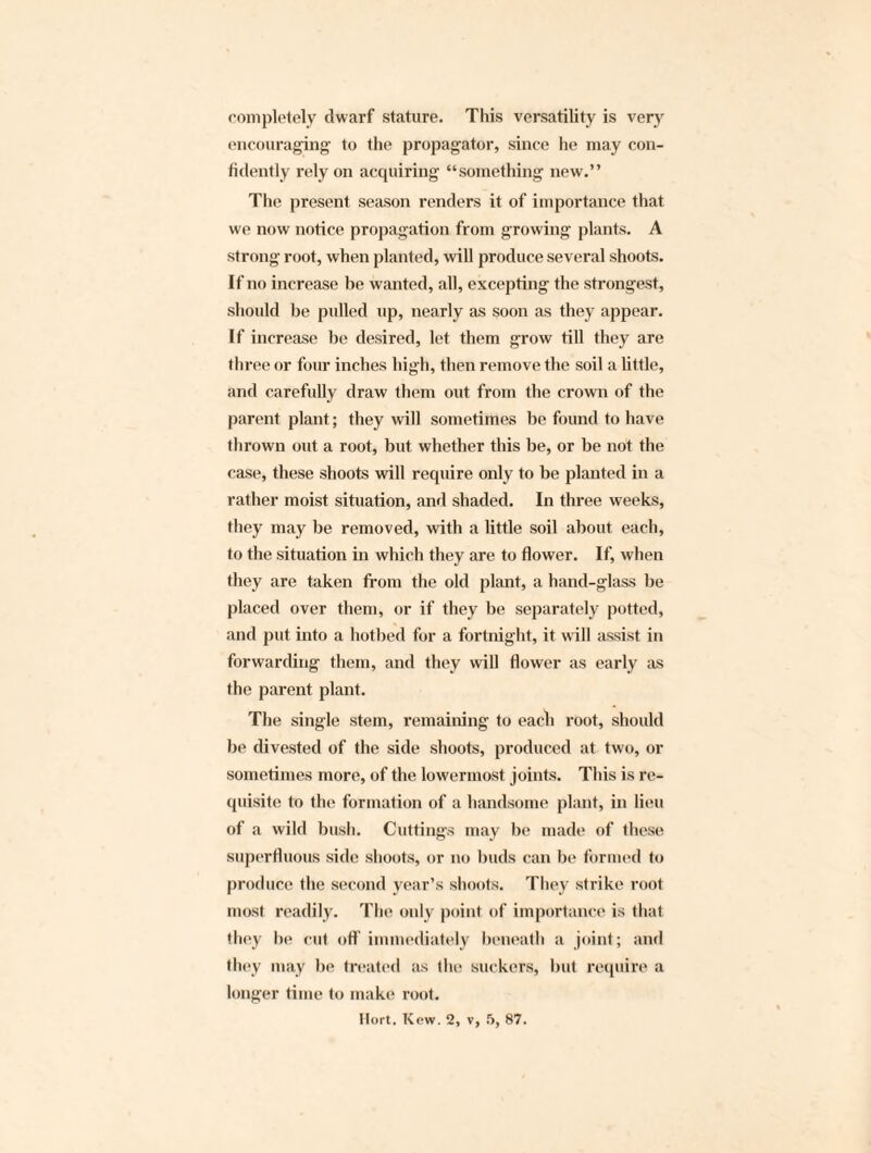 completely dwarf stature. This versatility is very encouraging to the propagator, since he may con¬ fidently rely on acquiring “something new.” The present season renders it of importance that we now notice propagation from growing plants. A strong root, when planted, will produce several shoots. If no increase be wanted, all, excepting the strongest, should be pulled up, nearly as soon as they appear. If increase be desired, let them grow till they are three or four inches high, then remove the soil a little, and carefully draw them out from the crown of the parent plant; they will sometimes be found to have thrown out a root, but whether this be, or be not the case, these shoots will require only to be planted in a rather moist situation, and shaded. In three weeks, they may be removed, with a little soil about each, to the situation in which they are to flower. If, when they are taken from the old plant, a hand-glass be placed over them, or if they be separately potted, and put into a hotbed for a fortnight, it w ill assist in forwarding them, and they will flower as early as the parent plant. The single stem, remaining to each root, should be divested of the side shoots, produced at two, or sometimes more, of the lowermost joints. This is re¬ quisite to the formation of a handsome plant, in lieu of a wild bush. Cuttings may be made of these superfluous side shoots, or no buds can be formed to produce the second year’s shoots. They strike root most readily. The only point of importance is that they be cut off immediately beneath a joint; and they may be treated as the suckers, but require a longer time to make root.