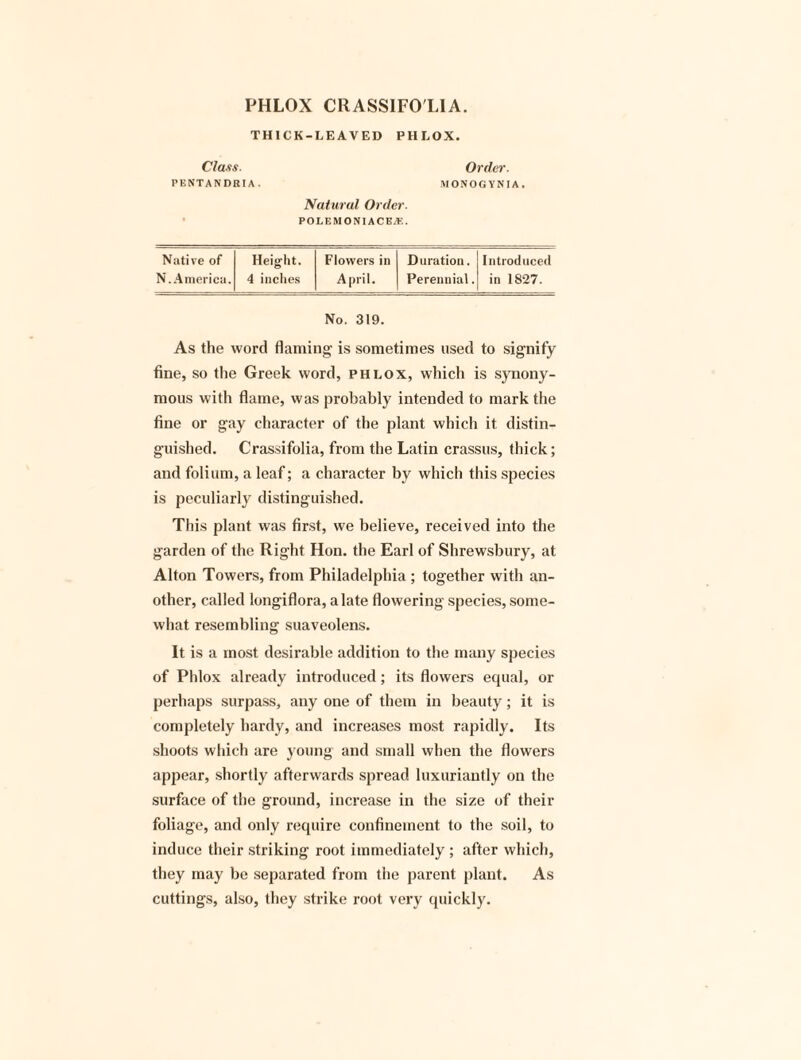 PHLOX CllASSIFOLlA. THICK-LEAVED PHLOX. Class. Order. PENTANDRIA. MONOGYNIA. Natural Order. POLEMONIACB2E. Native of Height. Flowers in Duration. Introduced N. America. 4 inches A pril. Perennial. in 1827. No. 319. As the word flaming is sometimes used to signify fine, so the Greek word, phlox, which is synony¬ mous with flame, was probably intended to mark the fine or gay character of the plant which it distin¬ guished. Crassifolia, from the Latin crassus, thick; and folium, a leaf; a character by which this species is peculiarly distinguished. This plant was first, we believe, received into the garden of the Right Hon. the Earl of Shrewsbury, at Alton Towers, from Philadelphia ; together with an¬ other, called longiflora, a late flowering species, some¬ what resembling suaveolens. It is a most desirable addition to the many species of Phlox already introduced; its flowers equal, or perhaps surpass, any one of them in beauty; it is completely hardy, and increases most rapidly. Its shoots which are young and small when the flowers appear, shortly afterwards spread luxuriantly on the surface of the ground, increase in the size of their foliage, and only require confinement to the soil, to induce their striking root immediately ; after which, they may be separated from the parent plant. As cuttings, also, they strike root very quickly.