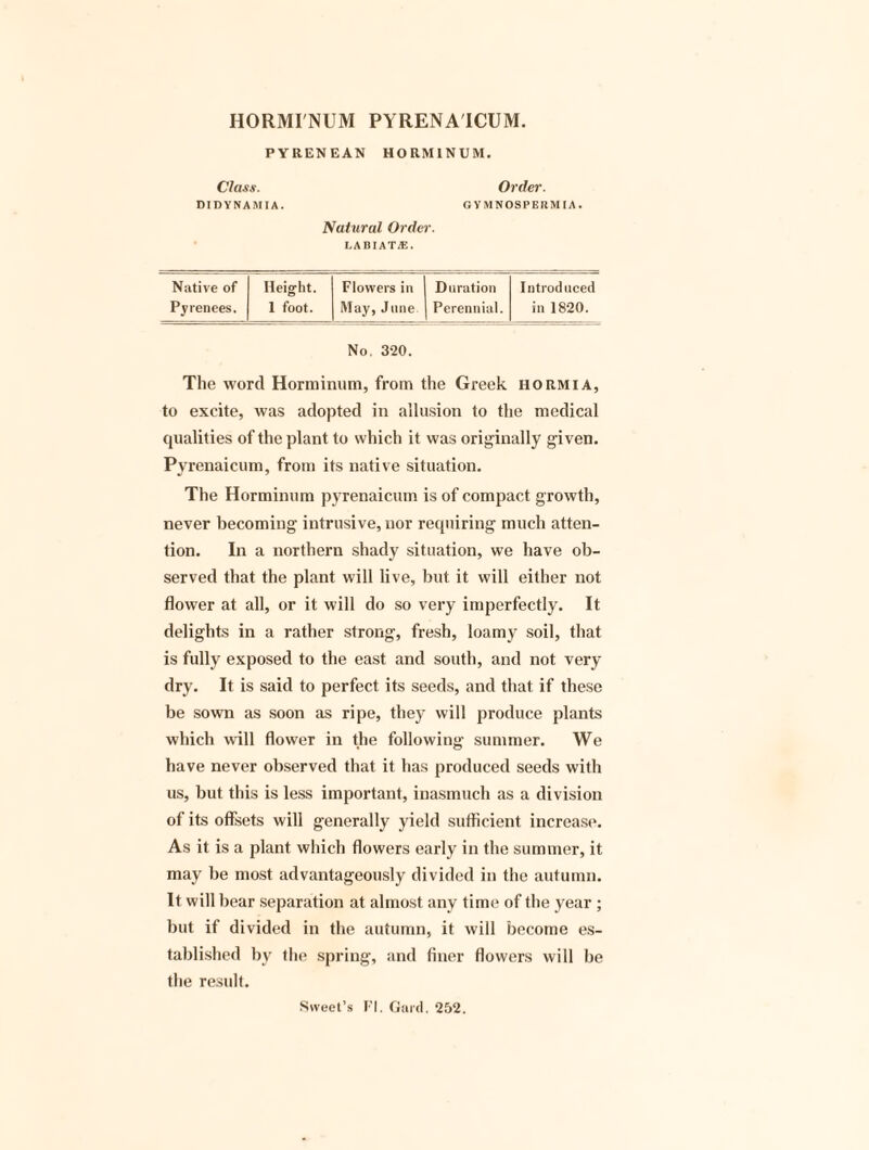 HORMI'NUM PYRENAICUM. PYRENEAN HORMINUM. Class. Order. DIDYNAMIA. G Y M NOSP ERM ! A . Natural Order. LABIATjE. Native of Height. Flowers in Duration Introduced Pyrenees. 1 foot. May, June Perennial. in 1820. No. 320. The word Horminum, from the Greek hormia, to excite, was adopted in allusion to the medical qualities of the plant to which it was originally given. Pyrenaicum, from its native situation. The Horminum pyrenaicum is of compact growth, never becoming intrusive, nor requiring much atten¬ tion. In a northern shady situation, we have ob¬ served that the plant will live, but it will either not flower at all, or it will do so very imperfectly. It delights in a rather strong, fresh, loamy soil, that is fully exposed to the east and south, and not very dry. It is said to perfect its seeds, and that if these be sown as soon as ripe, they will produce plants which will flower in the following summer. We have never observed that it has produced seeds with us, but this is less important, inasmuch as a division of its offsets will generally yield sufficient increase. As it is a plant which flowers early in the summer, it may be most advantageously divided in the autumn. It will bear separation at almost any time of the year ; but if divided in the autumn, it will become es¬ tablished by the spring, and finer flowers will be the result. Sweet’s FI. Gard. 252,