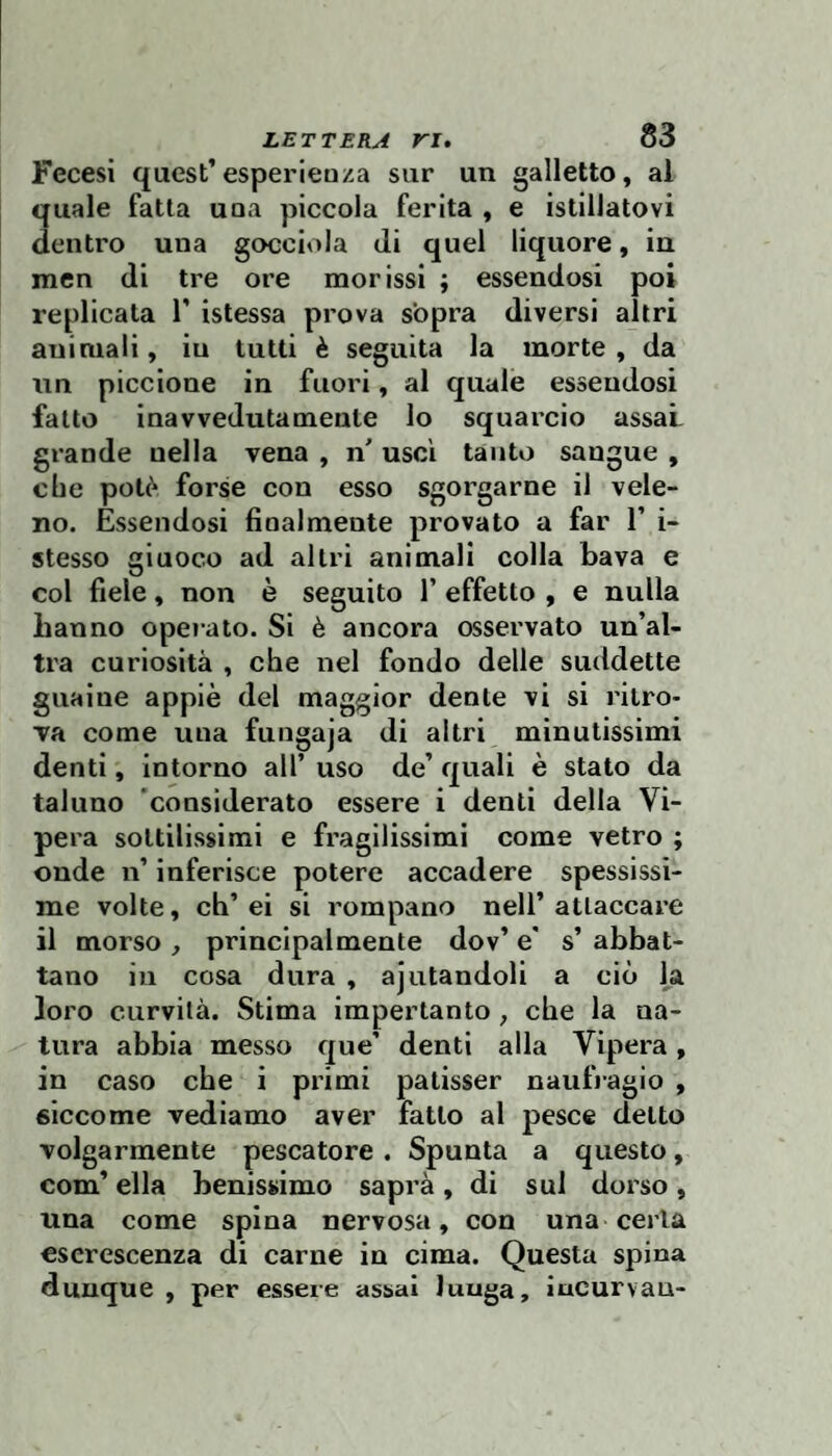 Fecesi quest’esperleu/a sur un galletto, al quale fatta uoa piccola ferita , e istillatovi dentro una gocciola di quel liquore, in mcn di tre ore morissi ; essendosi poi replicata 1’ istessa prova sopra diversi altri animali, in tutti è seguita la morte, da iin piccione in fuori, al quale essendosi fatto inavvedutamente lo squarcio assaL glande nella vena , n' usci tanto sangue , cbe potè forse con esso sgorgarne il vele¬ no. Essendosi finalmente provato a far 1’ i- stesso giuoco ad altri animali colla bava e col fiele, non è seguito 1’ effetto , e nulla hanno opeiato. Si è ancora osservato un’al¬ tra curiosità , che nel fondo delle suddette guaine appiè del maggior dente vi si ritro¬ va come una fungaja di altri minutissimi denti, intorno all’ uso de’ quali è stato da taluno considerato essere i denti della Vi¬ pera sottilissimi e fi’agllissimi come vetro ; onde n’ inferisce potere accadere spessissi¬ me volte, eh’ei si rompano nell’attaccare il morso , principalmente dov’ e s’ abbat¬ tano in cosa dura , ajutandoli a ciò la loro curvità. Stima Impertanto , che la na¬ tura abbia messo que’ denti alla Vipera, in caso che i primi palisser naufragio , siccome vediamo aver fatto al pesce detto volgarmente pescatore . Spunta a questo, com’ ella benissimo saprà, di sul dorso, una come spina nervosa, con una certa escrescenza di carne in cima. Questa spina dunque, per essere assai lunga, incurvau-