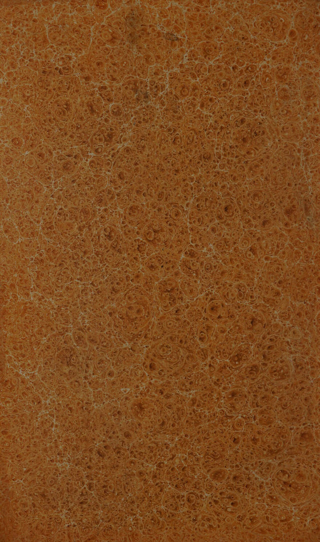 digitised image 2