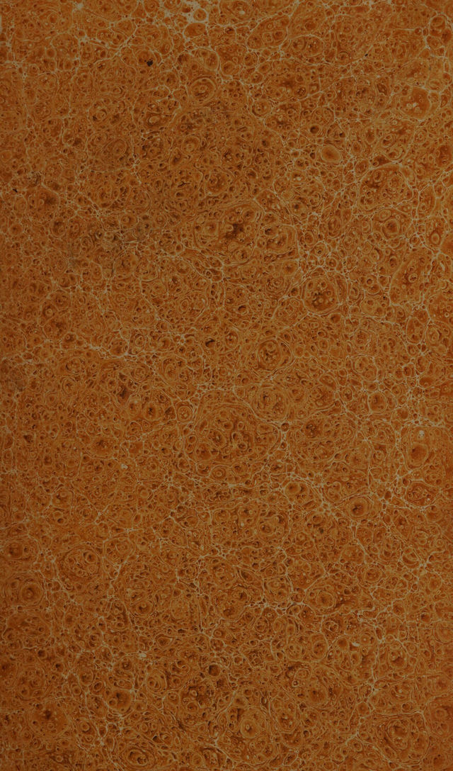 digitised image 3