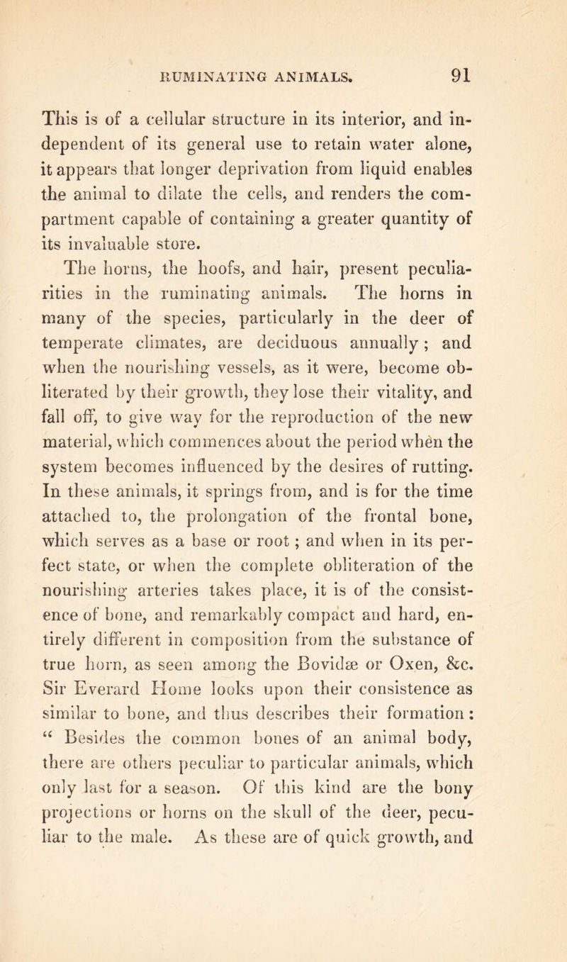 This is of a cellular structure in its interior, and in- dependent of its general use to retain water alone, it appears that longer deprivation from liquid enables the animal to dilate the cells, and renders the com- partment capable of containing a greater quantity of its invaluable store. The horns, the hoofs, and hair, present peculia- rities in the ruminating animals. The horns in many of the species, particularly in the deer of temperate climates, are deciduous annually; and when the nourishing vessels, as it were, become ob- literated by their growth, they lose their vitality, and fall off, to give way for the reproduction of the new material, which commences about the period when the system becomes influenced by the desires of rutting. In these animals, it springs from, and is for the time attached to, the prolongation of the frontal bone, which serves as a base or root; and when in its per- fect state, or when the complete obliteration of the nourishing arteries takes place, it is of the consist- ence of bone, and remarkably compact and hard, en- tirely different in composition from the substance of true horn, as seen among the Bovidee or Oxen, &amp;c. Sir Everard Home looks upon their consistence as similar to bone, and thus describes their formation: “ Besides the common bones of an animal body, there are others peculiar to particular animals, which only last for a season. Of this kind are the bony projections or horns on the skull of the deer, pecu- liar to the male. As these are of quick growth, and