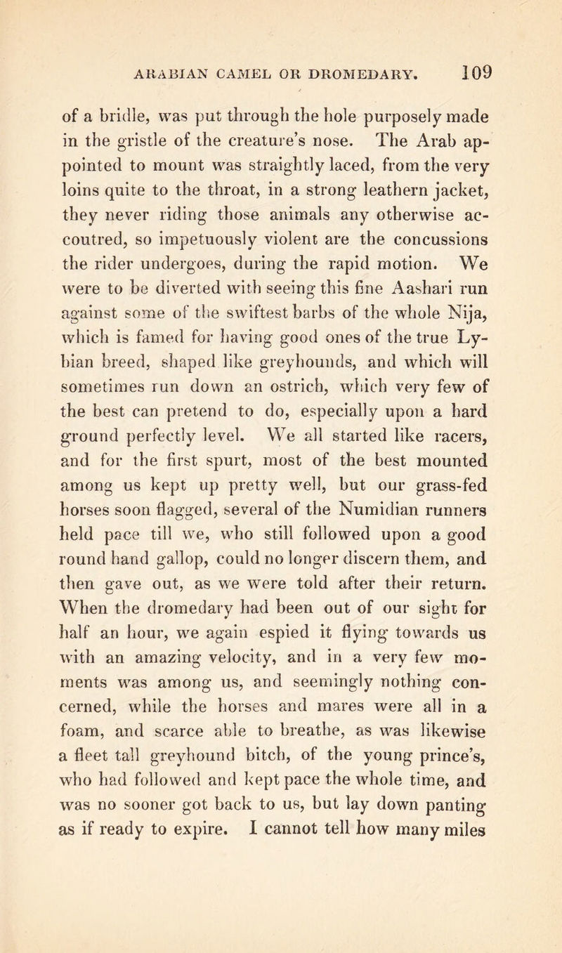 of a bridle, was put through the hole purposely made in the gristle of the creature’s nose. The Arab ap- pointed to mount was straightly laced, from the very loins quite to the throat, in a strong leathern jacket, they never riding those animals any otherwise ac- coutred, so impetuously violent are the concussions the rider undergoes, during the rapid motion. We were to be diverted with seeing this fine Aashari run against some of the swiftest barbs of the whole Nija, which is famed for having good ones of the true Ly- hian breed, shaped like greyhounds, and which will sometimes run down an ostrich, which very few of the best can pretend to do, especially upon a hard ground perfectly level. We all started like racers, and for the first spurt, most of the best mounted among us kept up pretty well, but our grass-fed horses soon flagged, several of the Numidian runners held pace till we, who still followed upon a good round hand gallop, could no longer discern them, and then gave out, as we were told after their return. When the dromedary had been out of our sight for half an hour, we again espied it flying towards us with an amazing velocity, and in a very few mo- ments was among us, and seemingly nothing con- cerned, while the horses and mares were all in a foam, and scarce able to breathe, as was likewise a fleet tall greyhound bitch, of the young prince’s, who had followed and kept pace the whole time, and was no sooner got back to us, but lay down panting as if ready to expire. I cannot tell how many miles