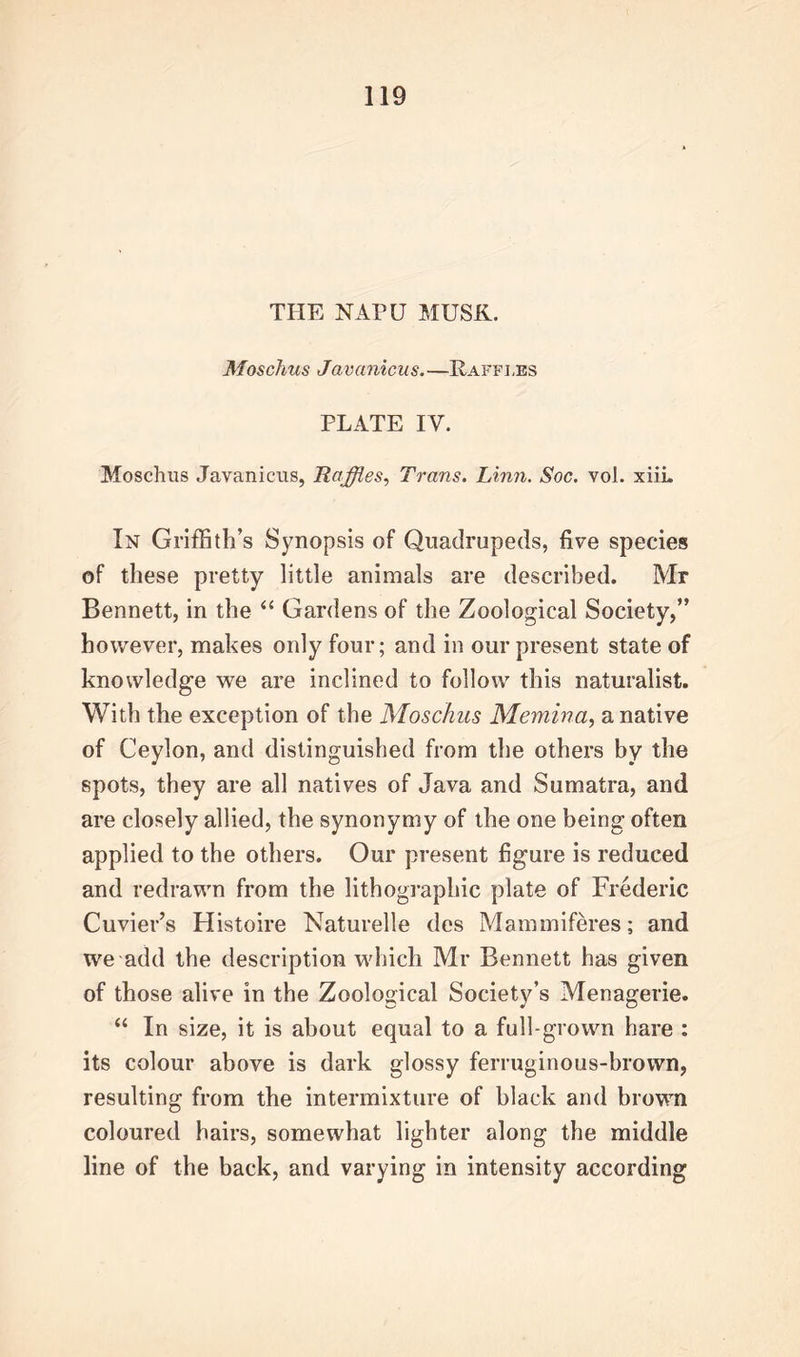 THE NAPU MUSK. Moschus Javanicus.—Raffi.es PLATE IV. Moschus Javanicus, Raffles, Trans. Linn. Soc. vol. xiii. In Griffith’s Synopsis of Quadrupeds, five species of these pretty little animals are described. Mr Bennett, in the “ Gardens of the Zoological Society,” however, makes only four; and in our present state of knowledge we are inclined to follow this naturalist. With the exception of the Moschus Memina, a native of Ceylon, and distinguished from the others by the spots, they are all natives of Java and Sumatra, and are closely allied, the synonymy of the one being often applied to the others. Our present figure is reduced and redrawn from the lithographic plate of Frederic Cuvier’s Histoire Naturelle des Mammiferes; and we add the description which Mr Bennett has given of those alive in the Zoological Society’s Menagerie. “ In size, it is about equal to a full-grown hare : its colour above is dark glossy ferruginous-brown, resulting from the intermixture of black and brown coloured hairs, somewhat lighter along the middle line of the back, and varying in intensity according