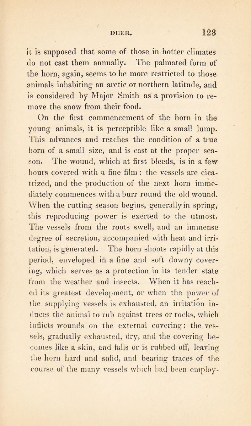 it is supposed that some of those in hotter climates do not cast them annually. The palmated form of the horn, again, seems to be more restricted to those animals inhabiting an arctic or northern latitude, and is considered by Major Smith as a provision to re- move the snow from their food. On the first commencement of the horn in the young animals, it is perceptible like a small lump. This advances and reaches the condition of a true horn of a small size, and is cast at the proper sea- son. The wound, which at first bleeds, is in a few hours covered with a fine film : the vessels are cica- trized, and the production of the next horn imme- diately commences with a burr round the old wound. When the rutting season begins, generally in spring, this reproducing power is exerted to the utmost. The vessels from the roots swell, and an immense degree of secretion, accompanied with heat and irri- tation, is generated. The horn shoots rapidly at this period, enveloped in a fine and soft downy cover- ing, which serves as a protection in its tender state from the weather and insects. When it has reach- ed its greatest development, or when the power of the supplying vessels is exhausted, an irritation in- duces the animal to rub against trees or rocks, which inflicts wounds on the external covering: the ves- sels, gradually exhausted, dry, and the covering be- comes like a skin, and falls or is rubbed off, leaving the horn hard and solid, and bearing traces of the course of the many vessels which had been employ-