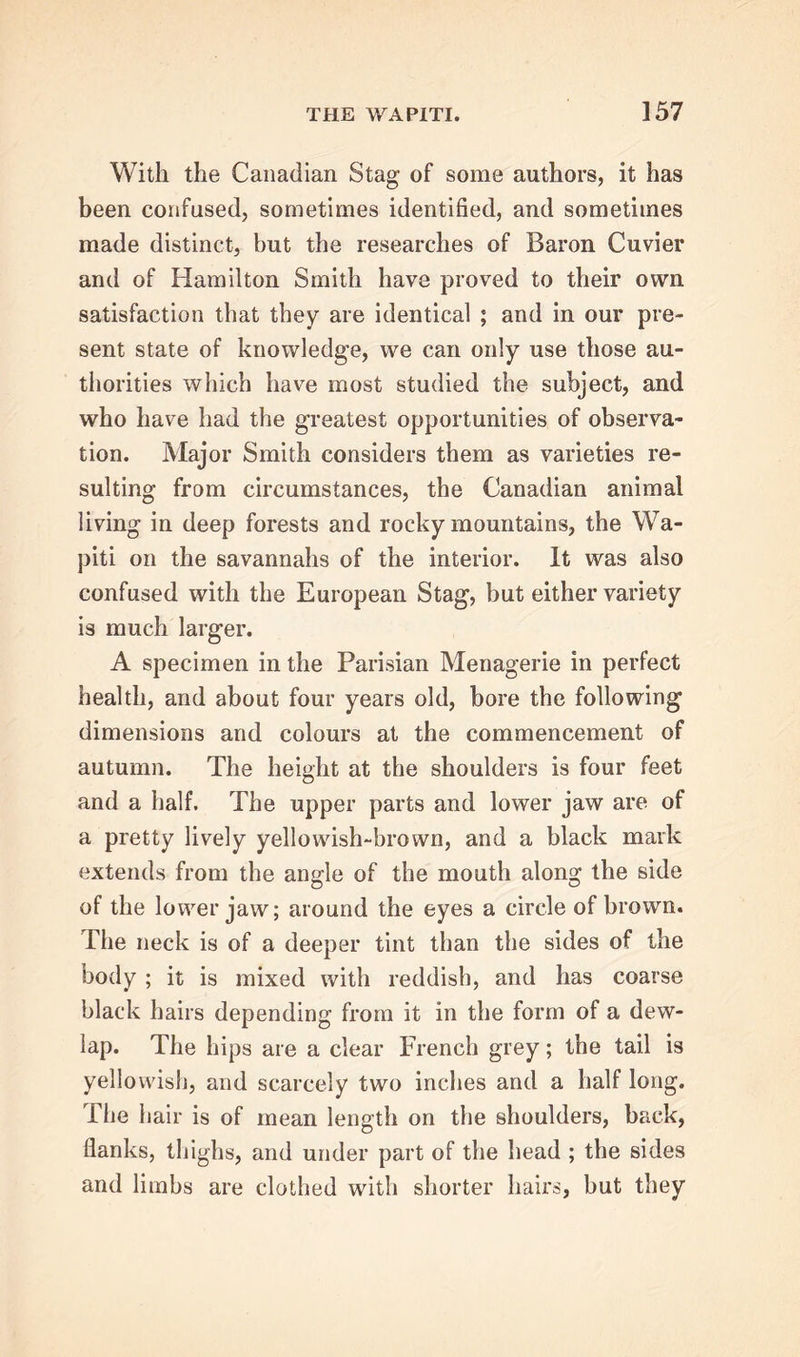 With the Canadian Stag of some authors, it has been confused, sometimes identified, and sometimes made distinct, but the researches of Baron Cuvier and of Hamilton Smith have proved to their own satisfaction that they are identical ; and in our pre- sent state of knowledge, we can only use those au- thorities which have most studied the subject, and who have had the greatest opportunities of observa- tion. Major Smith considers them as varieties re- sulting from circumstances, the Canadian animal living in deep forests and rocky mountains, the Wa- piti on the savannahs of the interior. It was also confused with the European Stag, but either variety is much larger. A specimen in the Parisian Menagerie in perfect health, and about four years old, bore the following dimensions and colours at the commencement of autumn. The height at the shoulders is four feet and a half. The upper parts and lower jaw are of a pretty lively yellowish-brown, and a black mark extends from the angle of the mouth along the side of the lower jaw; around the eyes a circle of brown. The neck is of a deeper tint than the sides of the body ; it is mixed with reddish, and has coarse black hairs depending from it in the form of a dew- lap. The hips are a clear French grey; the tail is yellowish, and scarcely two inches and a half long. The hair is of mean length on the shoulders, back, flanks, thighs, and under part of the head ; the sides and limbs are clothed with shorter hairs, but they