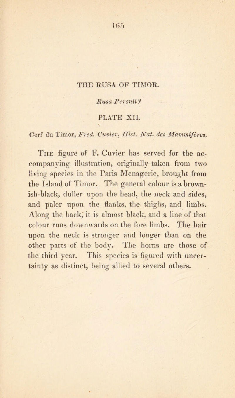 THE RUSA OF TIMOR. Rusa Peronii ? PLATE XII. V Cerf du Timor, Fred. Cuvier, Hist. Nat. des Mammiferes. The figure of F. Cuvier has served for the ac- companying illustration, originally taken from two living species in the Paris Menagerie, brought from the Island of Timor. The general colour is a brown- ish-black, duller upon the head, the neck and sides, and paler upon the flanks, the thighs, and limbs. Along the back,' it is almost black, and a line of that colour runs downwards on the fore limbs. The hair upon the neck is stronger and longer than on the other parts of the body. The horns are those of the third year. This species is figured with uncer- tainty as distinct, being allied to several others.