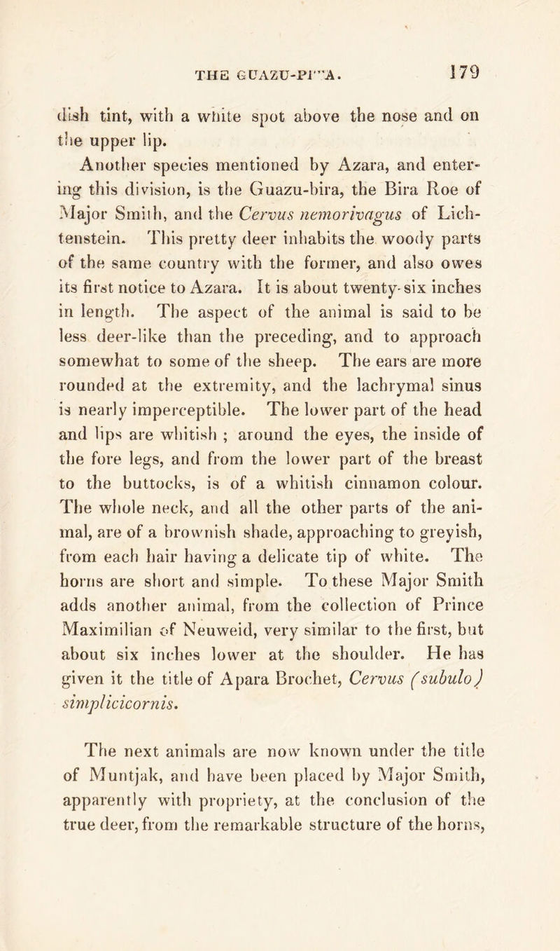 dish tint, with a white spot above the nose and on the upper lip. Another species mentioned by Azara, and enter- ing this division, is the Guazu-bira, the Bira Roe of Major Smith, and the Cervus nemorivagus of Lich- tenstein. This pretty deer inhabits the woody parts of the same country with the former, and also owes its first notice to Azara. It is about twenty-six inches in length. The aspect of the animal is said to be less deer-like than the preceding, and to approach somewhat to some of the sheep. The ears are more rounded at the extremity, and the lachrymal sinus is nearly imperceptible. The lower part of the head and lips are whitish ; around the eyes, the inside of the fore legs, and from the lower part of the breast to the buttocks, is of a whitish cinnamon colour. The whole neck, and all the other parts of the ani- mal, are of a brownish shade, approaching to greyish, from each hair having a delicate tip of white. The horns are short and simple. To these Major Smith adds another animal, from the collection of Prince Maximilian of Neuweid, very similar to the first, but about six inches lower at the shoulder. Pie has given it the title of A para Brochet, Cervus (subuloj simplicicornis. The next animals are now known under the title of Muntjak, and have been placed by Major Smith, apparently with propriety, at the conclusion of the true deer, from the remarkable structure of the horns,