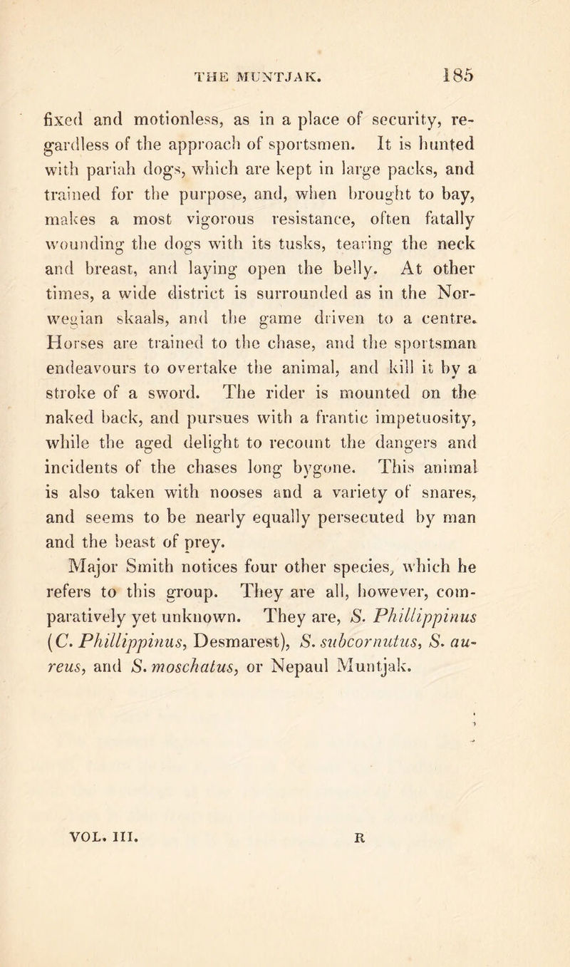 fixed and motionless, as in a place of security, re- gardless of the approach of sportsmen. It is hunted with pariah dogs, which are kept in large packs, and trained for the purpose, and, when brought to bay, makes a most vigorous resistance, often fatally wounding the dogs with its tusks, tearing the neck and breast, and laying open the belly. At other times, a wide district is surrounded as in the Nor- wegian skaals, and the game driven to a centre. Horses are trained to the chase, and the sportsman endeavours to overtake the animal, and kill it by a stroke of a sword. The rider is mounted on the naked back, and pursues with a frantic impetuosity, while the aged delight to recount the dangers and incidents of the chases long bygone. This animal is also taken with nooses and a variety of snares, and seems to be nearly equally persecuted by man and the beast of prey. Major Smith notices four other species, which he refers to this group. They are all, however, com- paratively yet unknown. They are, S. PhiLlippinus (C. Phillippinus, Desmarest), S. subcornutus, S. au- reus, and S. moschatus, or Nepaul Muntjak. vol. hi. R