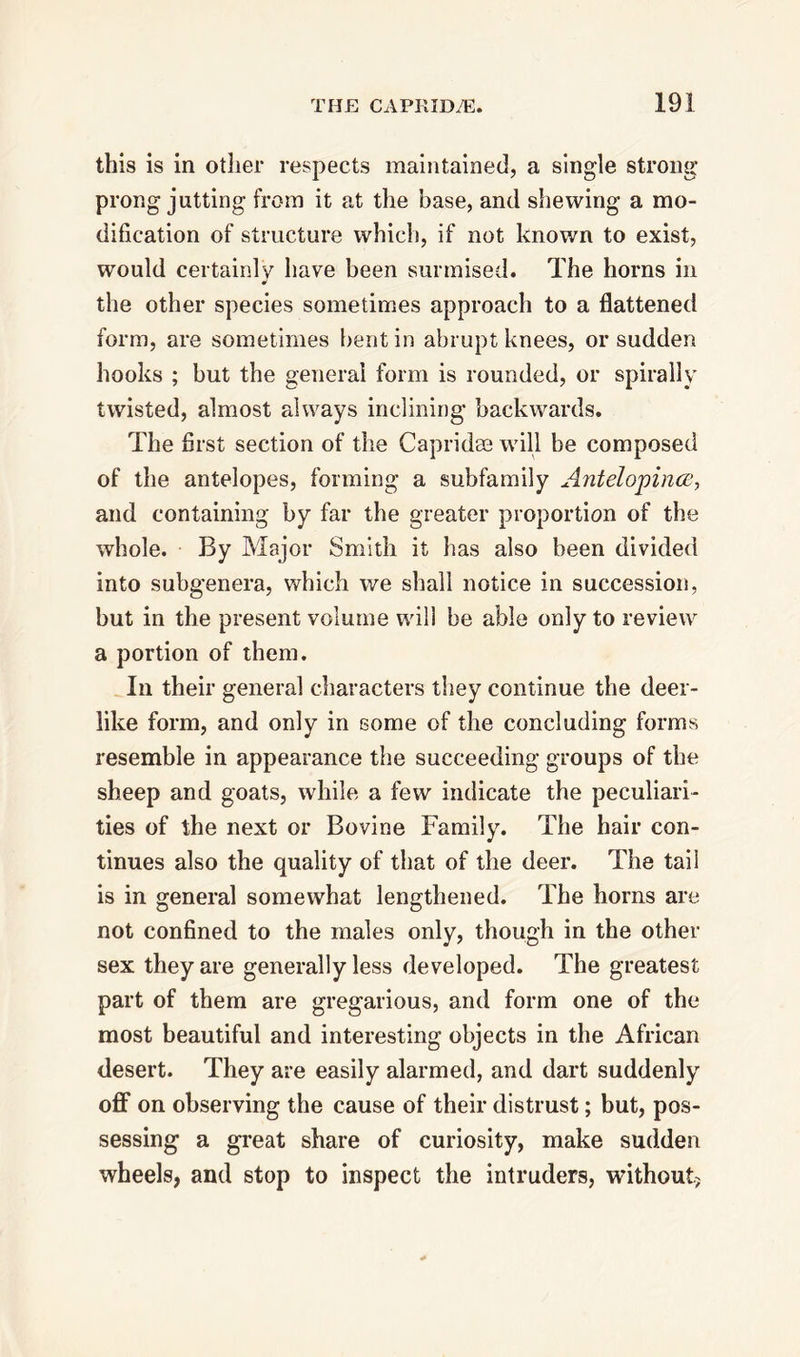 this is in other respects maintained, a single strong prong jutting from it at the base, and shewing a mo- dification of structure which, if not known to exist, would certainly have been surmised. The horns in the other species sometimes approach to a flattened form, are sometimes bent in abrupt knees, or sudden hooks ; but the general form is rounded, or spirally twisted, almost always inclining backwards. The first section of the Capridse will be composed of the antelopes, forming a subfamily Antelopinee, and containing by far the greater proportion of the whole. By Major Smith it has also been divided into subgenera, which we shall notice in succession, but in the present volume will be able only to review a portion of them. In their general characters they continue the deer- like form, and only in some of the concluding forms resemble in appearance the succeeding groups of the sheep and goats, while a few indicate the peculiari- ties of the next or Bovine Family. The hair con- tinues also the quality of that of the deer. The tail is in general somewhat lengthened. The horns are not confined to the males only, though in the other sex they are generally less developed. The greatest part of them are gregarious, and form one of the most beautiful and interesting objects in the African desert. They are easily alarmed, and dart suddenly off on observing the cause of their distrust; but, pos- sessing a great share of curiosity, make sudden wheels, and stop to inspect the intruders, without;