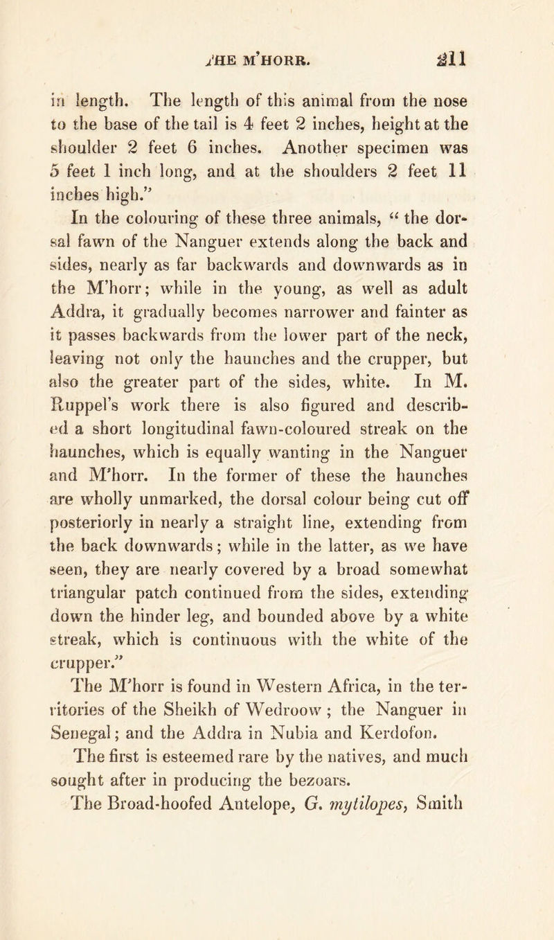 in length. The length of this animal from the nose to the base of the tail is 4 feet 2 inches, height at the shoulder 2 feet 6 inches. Another specimen was 5 feet 1 inch long, and at the shoulders 2 feet 11 inches high.” In the colouring of these three animals, “ the dor- sal fawn of the Nanguer extends along the back and sides, nearly as far backwards and downwards as in the M’horr; while in the young, as well as adult Addra, it gradually becomes narrower and fainter as it passes backwards from the lower part of the neck, leaving not only the haunches and the crupper, but also the greater part of the sides, white. In M. Ruppel’s work there is also figured and describ- ed a short longitudinal fawn-coloured streak on the haunches, which is equally wanting in the Nanguer and M’horr. In the former of these the haunches are wholly unmarked, the dorsal colour being cut off posteriorly in nearly a straight line, extending from the back downwards; while in the latter, as we have seen, they are nearly covered by a broad somewhat triangular patch continued from the sides, extending down the hinder leg, and bounded above by a white streak, which is continuous with the white of the crupper.” The M’horr is found in Western Africa, in the ter- ritories of the Sheikh of Wedroow ; the Nanguer in Senegal; and the Addra in Nubia and Kerdofon. The first is esteemed rare by the natives, and much sought after in producing the bezoars. The Broad-hoofed Antelope, G. mytilopes, Smith