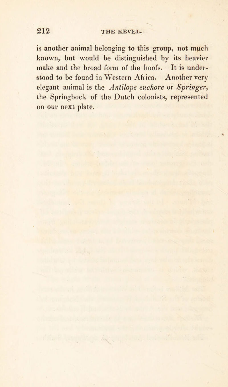 is another animal belonging to this group, not much known, but would be distinguished by its heavier make and the broad form of the hoofs. It is under- stood to be found in Western Africa. Another very 0 elegant animal is the Antilope euchore or Springer, the Springbock of the Dutch colonists, represented on our next plate.