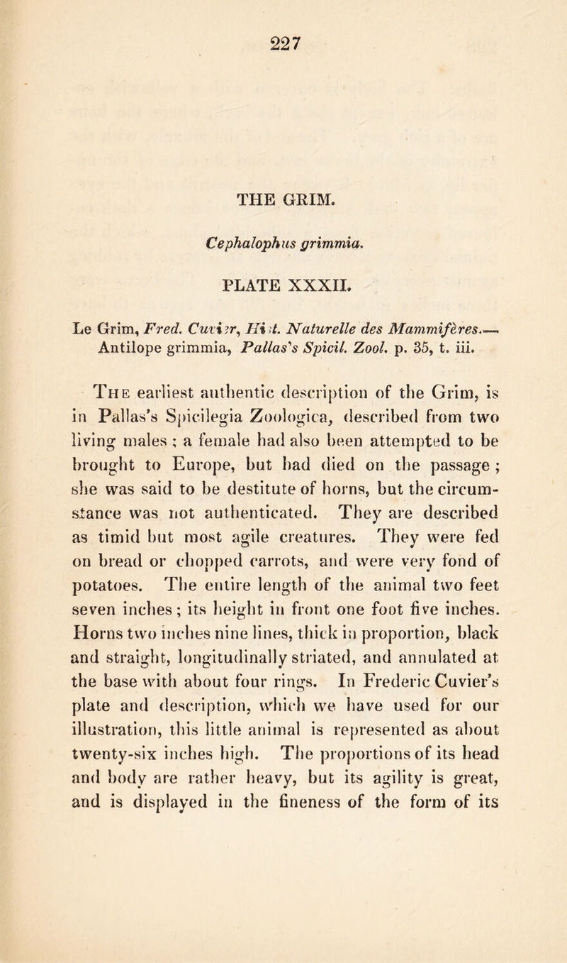 THE GRIM. Cephalophus grimmia. PLATE XXXII. Le Grim, Fred. Cuviir, Ki d. Naturelle des Mammif&amp;res.— Antilope grimmia, Pallas's Spicil. Zool. p. 35, t. iii. The earliest authentic description of the Grim, is in Pallas’s Spicilegia Zoologica, described from two living males ; a female had also been attempted to be brought to Europe, but had died on the passage ; she was said to be destitute of horns, but the circum- stance was not authenticated. They are described as timid but most agile creatures. They were fed on bread or chopped carrots, and were very fond of potatoes. The entire length of the animal two feet seven inches; its height in front one foot five inches. Horns two inches nine lines, thick in proportion, black and straight, longitudinally striated, and annulated at the base with about four rings. In Frederic Cuvier’s plate and description, which we have used for our illustration, this little animal is represented as about twenty-six inches high. The proportions of its head and body are rather heavy, but its agility is great, and is displayed in the fineness of the form of its