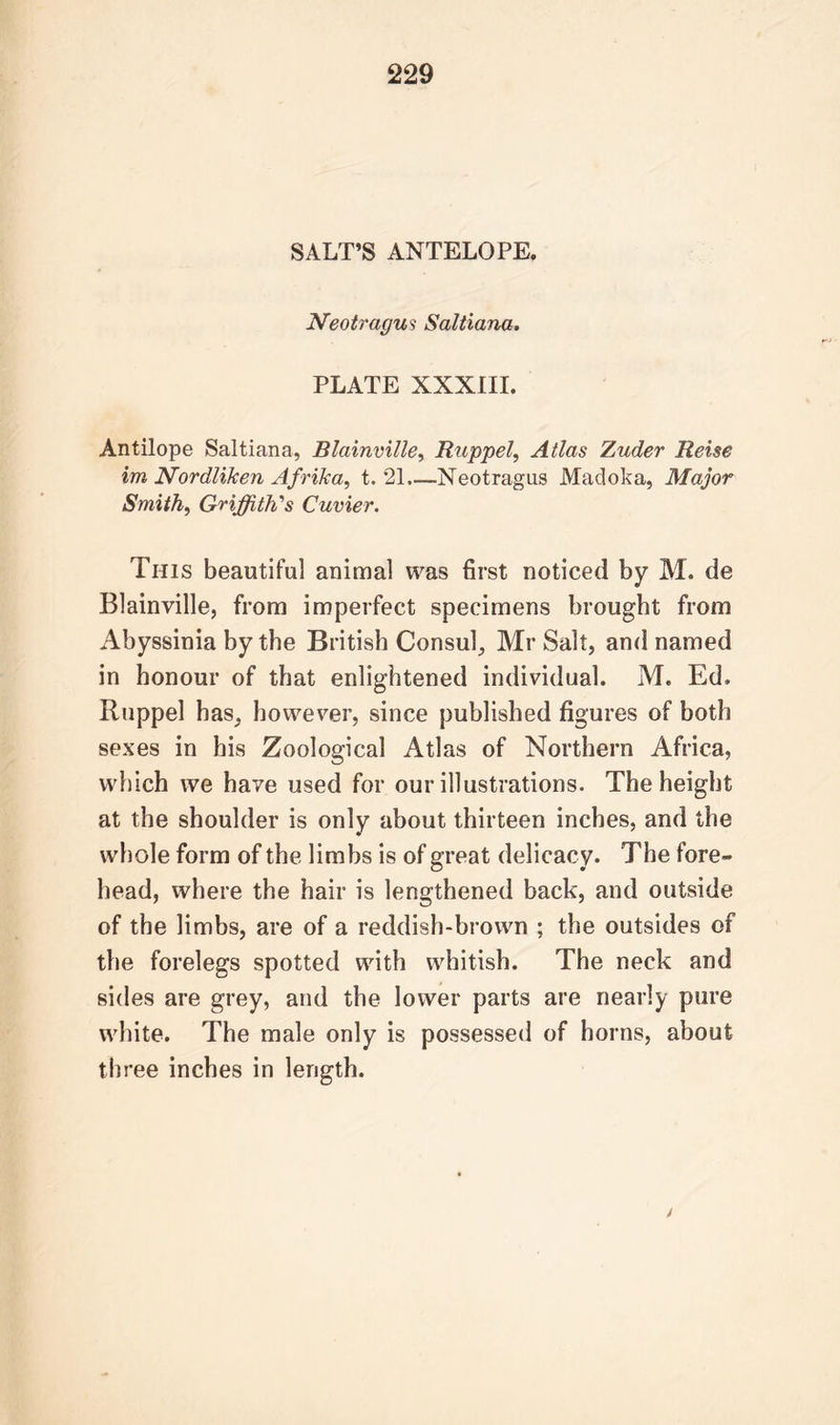 229 SALT’S ANTELOPE. Neotragus Saltiana. PLATE XXXIII. Antilope Saltiana, Blainville, Riippel, Atlas Zuder Reise im Nordlilten Afrika, t. 21 Neotragus Madoka, Major Smith, Griffith's Cuvier. This beautiful animal was first noticed by M. de Blainville, from imperfect specimens brought from Abyssinia by the British Consul, Mr Salt, and named in honour of that enlightened individual. M. Ed. Ruppel has, however, since published figures of both sexes in his Zoological Atlas of Northern Africa, which we have used for our illustrations. The height at the shoulder is only about thirteen inches, and the whole form of the limbs is of great delicacy. The fore- head, where the hair is lengthened back, and outside of the limbs, are of a reddish-brown ; the outsides of the forelegs spotted with whitish. The neck and sides are grey, and the lower parts are nearly pure white. The male only is possessed of horns, about three inches in length.