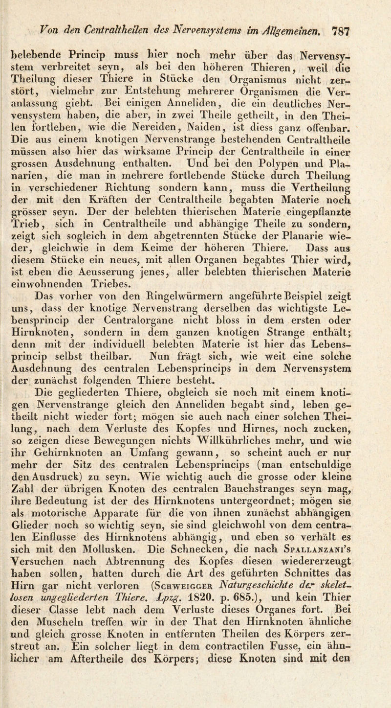 belebende Princip muss bier noch mehr über das Nervensy¬ stem verbreitet seyn, als bei den höheren Thieren, weil die Theilung dieser Thiere in Stücke den Organismus nicht zer¬ stört, vielmehr zur Entstehung mehrerer Organismen die Ver¬ anlassung gieht. Bei einigen Anneliden, die ein deutliches Ner¬ vensystem haben, die aber, in zwei Theile getheilt, in den Thei- len fortleben, wie die Nereiden, Naiden, ist diess ganz offenbar. Die aus einem knotigen Nervenstränge bestehenden Centraltheile müssen also hier das wirksame Princip der Centraltheile in einer grossen Ausdehnung enthalten. Und bei den Polypen und Pla¬ narien, die man in mehrere fortlebende Stücke durch Theilung in verschiedener Richtung sondern kann, muss die Vertheilung der mit den Kräften der Centraltheile begabten Materie noch grösser seyn. Der der belebten thierischen Materie eingepflanzte Trieb, sich in Centraltheile und abhängige Theile zu sondern, zeigt sich sogleich in dem abgetrennten Stücke der Planarie wie¬ der, gleichwie in dem Reime der höheren Thiere. Dass aus diesem Stücke ein neues, mit allen Organen begabtes Thier wird, ist eben die Aeusserung jenes, aller belebten thierischen Materie einwohnenden Triebes. Das vorher von den Ringelwürmern angeführte Beispiel zeigt uns, dass der knotige Nervenstrang derselben das wichtigste Le- bensprincip der Centralorgane nicht bloss in dem ersten oder Hirnknoten, sondern in dem ganzen knotigen Strange enthält; denn mit der individuell belebten Materie ist hier das Lebens- princlp selbst theilbar. Nun frägt sich, wie weit eine solche Ausdehnung des centralen Lebensprincips in dem Nervensystem der zunächst folgenden Thiere besteht. Die gegliederten Thiere, obgleich sie noch mit einem knoti¬ gen Nervenstränge gleich den Anneliden begabt sind, leben ge¬ theilt nicht wieder fort; mögen sie auch nach einer solchen Thei¬ lung, nach dem Verluste des Kopfes und Hirnes, noch zucken, so zeigen diese Bewegungen nichts Willkührliches mehr, und wie ihr Gehirnknoten an Umfang gewann, so scheint auch er nur mehr der Sitz des centralen Lebensprincips (man entschuldige den Ausdruck) zu seyn. Wie wichtig auch die grosse oder kleine Zahl der übrigen Knoten des centralen Bauchstranges seyn mag, ihre Bedeutung ist der des Hirnknotens untergeordnet; mögen sie als motorische Apparate für die von ihnen zunächst abhängigen Glieder noch so wichtig seyn, sie sind gleichwohl von dem centra¬ len Einflüsse des Hirnknotens abhängig, und eben so verhält es sich mit den Mollusken. Die Schnecken, die nach Spallanzani^s Versuchen nach Abtrennung des Kopfes diesen wiedererzeugt haben sollen, hatten durch die Art des geführten Schnittes das Hirn gar nicht verloren (Schweigger Naturgeschichte der skelet- losen ungegliederten Thiere, Lpzg. 1820. p. 685,), und kein Thier dieser Classe lebt nach dem Verluste dieses Organes fort. Bei den Muscheln treffen wir in der That den Hirnknoten ähnliche und gleich grosse Knoten in entfernten Theilen des Körpers zer¬ streut an. Ein solcher liegt in dem contractilen Fusse, ein ähn¬ licher am Aftertheile des Körpers; diese Knoten sind mit den