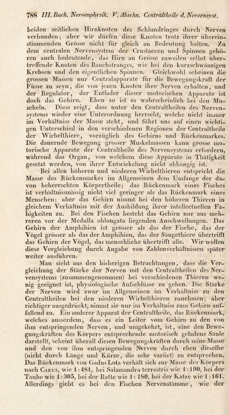 beiden seitliclien Hirnknoten des Scbliindringes durch Nerven verbunden; aber wir dürfen diese Knoten trotz ihrer überein¬ stimmenden Grösse nicht für gleich an Bedeutung halten. Zu dem centralen Nervensystem der Crustaceen und Spinnen gehö¬ ren auch bedeutende, das Hirn an Grösse zuweilen selbst über- treffende Knoten des Bauchstranges, wie bei den kurzschwänzigen Krebsen und den eigentlichen Spinnen. Gleichwohl scheinen die grossen Massen nur Centralapparate für die Bewegungskraft der Füsse zu seyn, die von jenen Knoten ihre Nerven erhalten, und der B.egulator, der Entlader dieser motorischen Apparate ist doch das Gehirn. Eben so ist es wahrscheinlich bei den Mu¬ scheln. Diess zeigt, dass unter den Centraltheilen des Nerven¬ systems wieder eine Unterordnung herrscht, welche nicht immer im Verhältniss der Masse steht, und führt uns auf einen wichti¬ gen Unterschied in den verschiedenen B.egionen der Centraltheile der Wirbelthiere, vorzüglich des Gehirns und Rückenmarkes. Die dauernde Bewegung grosser Muskelmassen kann grosse mo¬ torische Apparate der Centraltheile deo Nervensystems erfordern, während das Organ, von welchem diese Apparate in Tbätigkeit gesetzt werden, von ihrer Entwickelung nicht abhängig ist. Bei allfen höheren und niederen Wirbelthieren entspricht die Masse des Rückenmarkes im Allgemeinen dem Umfange der da¬ von beherrschten Körpertheile; das Rückenmark eines Fisches ist verhältnissmässig nicht viel geringer als das Rückenmark eines Menschen; aber das Gehirn nimmt bei den höheren Thieren in gleichem Verhältniss mit der Ausbildung ihrer intellectuellen Fä¬ higkeiten zu. Bei den Fischen besteht das Qehirn nur aus meh¬ reren vor der Medulla oblongata liegenden Anschwellungen. Das Gehirn der Amphibien ist grösser als das der Fische, das der Vögel grösser als das der Amphibien, das der Säugethiere übertrifft das Gehirn der Vögel, das menschliche übertrifft alle. Wir wollen diese Vergleichung durch Angabe von Zahlenverhältnissen später weiter ausführen. Man sieht aus den bisherigen Betrachtungen, dass die Ver¬ gleichung der Stärke der Nerven mit den Centraltheilen des Ner¬ vensystems (zusammengenommen) bei verschiedenen Thieren we¬ nig geeignet ist, physiologische Aufschlüsse zu geben. Die Stärke der Nerven wird zwar im Allgemeinen im Verhältniss zu den Centraltheilen bei den niederen Wirbelthieren zunehmen; aber richtiger ausgedrückt, nimmt sie nur im Verhältniss zum Gehirn auf¬ fallend zu. Ein anderer Apparat der Centraltheile, das Rückenmark, welches ausserdem, dass es ein Leiter vom Gehirn zu den von ihm entspringenden Nerven, und umgekehrt, ist, eine den Bewe¬ gungskräften des Körpers entsprechende motorisch geladene Säule darstellt, Scheint überall diesen Bewegungskräften durch seine Masse und den von ihm entspringenden Nerven durch eben dieselbe (nicht durch Länge und Kürze, die sehr variirt) zu entsprechen. Das Rückenmark von Gadus Lota verhält sich zur Masse des Körpers nach Carus, wie 1:481, bei Salamandra terrestris wie 1:190, bei der Taube wie 1:305, bei der Ratte wie 1:180, bei der Katze wie 1:161. Allerdings giebt es bei den Fischen Nervenstämme, wie der