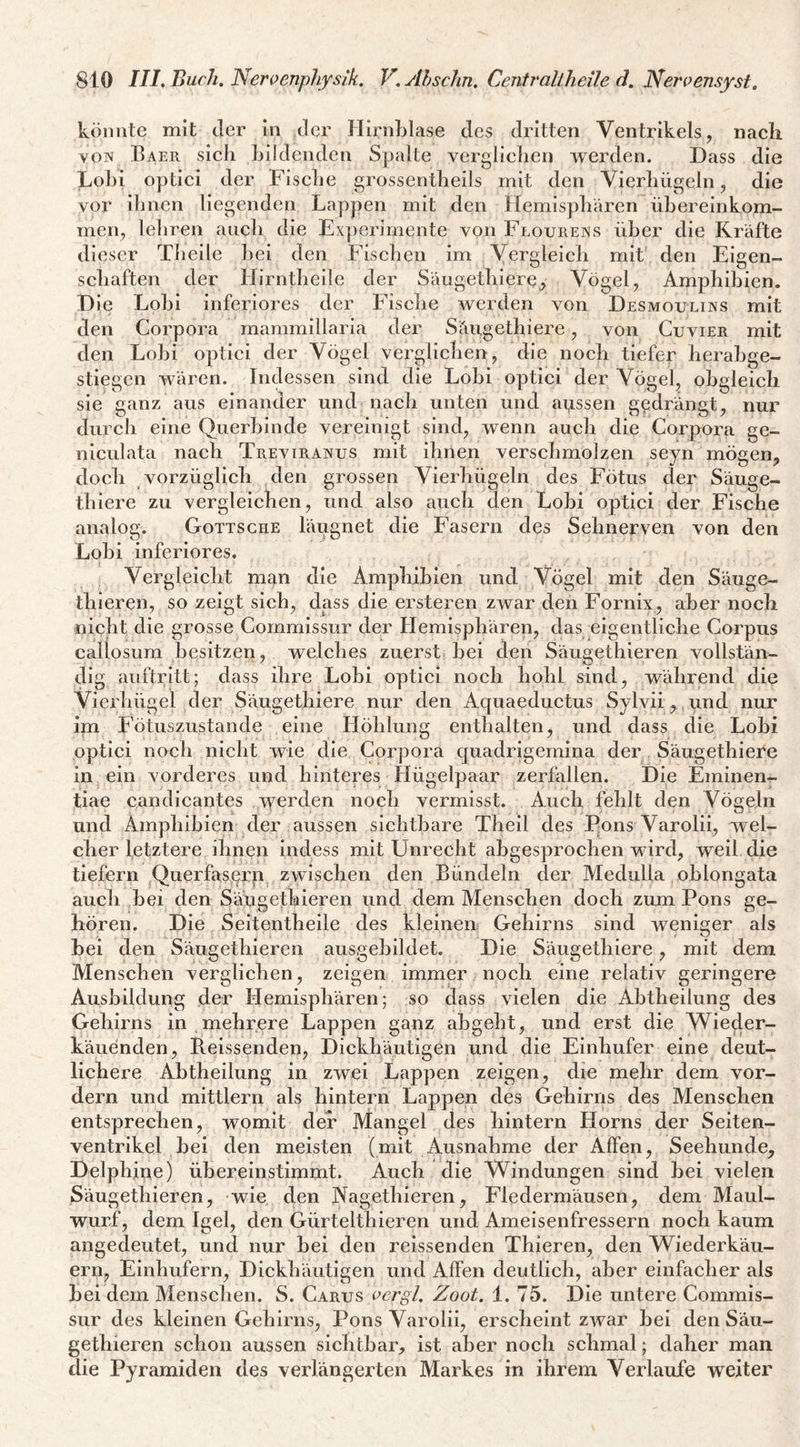 könnte mit der in der Hirnklase des dritten Ventrikels, nacli VON Baer sich Bildenden Spalte verglichen werden. Dass die Lohi optici der Fische grossentheils mit den Vierhügeln, die vor ihnen liegenden Lappen mit den Hemisphären ühereinkom- rnen, lehren auch die Experimente von Flourens über die Kräfte die scr Theile hei den Fischen im Vergleich mit den Eigen¬ schaften der Hirntheile der Säugethiere, Vögel, Amphibien. D ie Lohi inferiores der Fische werden von Desmoulins mit den Corpora mammillaria der Säugethiere, von Cuvier mit den Lohi optici der Vögel verglichen, die noch tiefer herahge- stiegen wären. Indessen sind die Lohi optici der Vögel, obgleich sie ganz ans einander und nach unten und apssen gedrängt, nur durch eine Querhinde vereinigt sind, wenn auch die Corpora ge- niculata nach Treviranus mit ihnen verschmolzen seyn mögen, doch vorzüglich den grossen Vierhügeln des Fötus der Säuge¬ thiere zu vergleichen, und also auch den Lohi optici der Fische analog. Gottsghe läugnet die Fasern des Sehnerven von den Lohi inferiores. Vergleicht man die Amphibien und Vögel mit den Säuge- thieren, so zeigt sich, dass die ersteren zwar den Fornix, aber noch nicht die grosse Commissur der Hemisphären, das eigentliche Corpus callosum besitzen, welches zuerst bei den Säugethieren vollstän¬ dig auftritt; dass ihre Lohi optici noch hohl sind, während die Vierhügel der Säugethiere nur den Aquaeductus Sylvii, und nur im Fötuszustande eine Höhlung enthalten, und dass die Lohi optici noch nicht wie die Corpora quadrigernina der Säugethiere in ein vorderes und hinteres Hügelpaar zerfallen. Die Eminen- tiae candicantes werden noch vermisst. Auch fehlt den Vögeln und Amphibien der aussen sichtbare Theil des Eons Varolii, wel¬ cher letztere ihnen indess mit Unrecht abgesprochen wird, weil die tiefem ^Querfasern zwischen den Bündeln der Medulla oblongata auch bei den Säugethieren und dem Menschen doch zum Pons ge¬ hören. Die Seiten theile des kleinen Gehirns sind weniger als bei den Säugethieren ausgebildet. Die Säugethiere, mit dem Menschen verglichen, zeigen immer noch eine relativ geringere Ausbildung der Hemisphären; so dass vielen die Abtheilung des Gehirns in mehrere Lappen ganz abgebt, und erst die Wieder- käuenden, Reissenden, Dickhäutigen und die Einhufer eine deut¬ lichere Abtheilung in zwei Lappen zeigen, die mehr dem vor¬ dem und mittlern als hintern Lappen des Gehirns des Menschen entsprechen, womit der Mangel des hintern Horns der Seiten¬ ventrikel bei den meisten (mit Ausnahme der Affen, Seehunde, Delphine) übereinstimmt. Auch die Windungen sind bei vielen Säugethieren, wie den Nagethieren, Fledermäusen, dem Maul¬ wurf, dem Igel, den Gürtelthieren und Ameisenfressern noch kaum angedcutet, und nur bei den reissenden Thieren, den Wiederkäu¬ ern, Einhufern, Dickhäutigen und Affen deutlich, aber einfacher als hei dem Alenschen. S. Carus oergl. Zoot. 1. 75. Die untere Commis¬ sur des kleinen Gehirns, Pons Varolii, erscheint zwar hei den Säu¬ gethieren schon aussen sichtbar, ist aber noch schmal; daher man die Pyramiden des verlängerten Markes in ihrem Verlaufe weiter