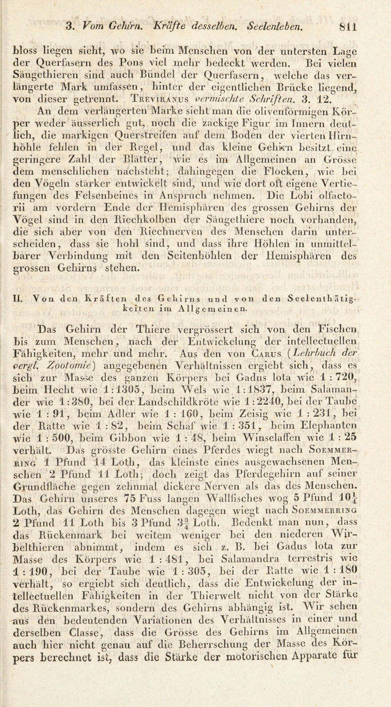 bloss liegen siebt, wo sie beim Menscben von der untersten Lage der Querfasern des Pons viel mehr bedeckt werden. Bei vielen Säugetbieren sind auch Bündel der Querfasern, welche das ver¬ längerte Mark umfassen, hinter der eigentlichen Brücke liegend, von dieser getrennt. Treviranus vermischte Schriften. 3. 12. An dem verlängerten Marke sieht man die olivenförmigen Kör¬ per weder äusserlich gut, noch die zackige Figur im Innern deut¬ lich, die markigen Querstreifen auf dem Boden der vierten Hirn- hÖhle fehlen in der Regel, und das kleine Gelikm besitzt eine geringere Zahl der Blätter, wie es im Allgemeinen an Grösse dem menschlichen nachsteht; dahingegen die Flocken, wie hei den Vögeln stärker entwickelt sind, und wie dort oft eigene Vertie¬ fungen des Felsenbeines in Anspruch nehmen. Die Lohi olfacto- rii am vordem Ende der Hemisphären des grossen Gehirns der Vögel sind in den Riechkolben der Säugethiere noch vorhanden, die sich aber von den Riechnerven des Menschen darin unter¬ scheiden, dass sie hohl sind, und dass ihre Höhlen in unmittel¬ barer Verbindung mit den Seitenhöhlen der Hemisphären des grossen Gehirns stehen. II. Von den Kräften des Geliirns und von den S eelenth ätxg- ketten im Allgemeinen. Das Gehirn der Thiere vergrössert sich von den Fischen bis zum Menschen, nach der Entwickelung der intellectiiellen Fähigkeiten, mehr und mehr. Aus den von Carus {Lehrbuch der vergl. Zootomie) angegebenen Verhältnissen ergieht sich, dass es sich zur Mas*^ des ganzen Körpers hei Gadiis Iota wie 1 : 720, beim Hecht wie 1:1305, heim Wels wie 1:1837, heim Salaman¬ der wie 1:380, hei der Landschildkröte wie 1:2240, hei der Taube wie 1 : 91, heim Adler wie 1 : 160, heim Zeisig wie 1 : 231, hei der Ratte wie 1 : 82, beim Schaf wie 1 : 351, heim Elephantcn wie 1 : 500, heim Gibbon wie 1 : 48, heim Winselaffen wie 1 : 25 verhält. Das grösste Gehirn eines Pferdes wiegt nach Soemmer- RiNG 1 Pfund 14 Loth, das kleinste eines ausgew^achsenen Men¬ schen 2 Pfund 11 Loth; doch zeigt das Pferdegehirn auf seiner Grundfläche gegen zehnmal dickere Nerven als das des Menschen. Das Gehirn unseres 75 Fuss langen Wallfisches wog 5 Pfund 10 j Loth, das Gehirn des Menschen dagegen wiegt nach Soemmerring 2 Pfund 11 Loth bis 3 Pfund 3|^ Loth. Bedenkt man nun, dass das R-ückenrnark hei weitem weniger hei den niederen Wir- belthieren ahnimmt, indem es sich z. B. hei Gadus Iota zur Masse des Körpers wie 1 :481, hei Salamandra terrestris wie 1 : 190, bei der Taube wie 1 : 305, hei der Ratte wie 1 : 180 verhält, so ergieht sich deutlich, dass die Entwickelung der in- tellectuellen Fähigkeiten in der Tbierwelt nicht von der Stärke des Rückenmarkes, sondern des Gehirns abhängig ist. Wir sehen uns den bedeutenden Variationen des Verhältnisses in einer und derselben Classe, dass die Grösse des Gehirns im Allgemeinen auch hier nicht genau auf die Beherrschung der Masse des Kör¬ pers berechnet ist, dass die Stärke der motorischen Apparate für