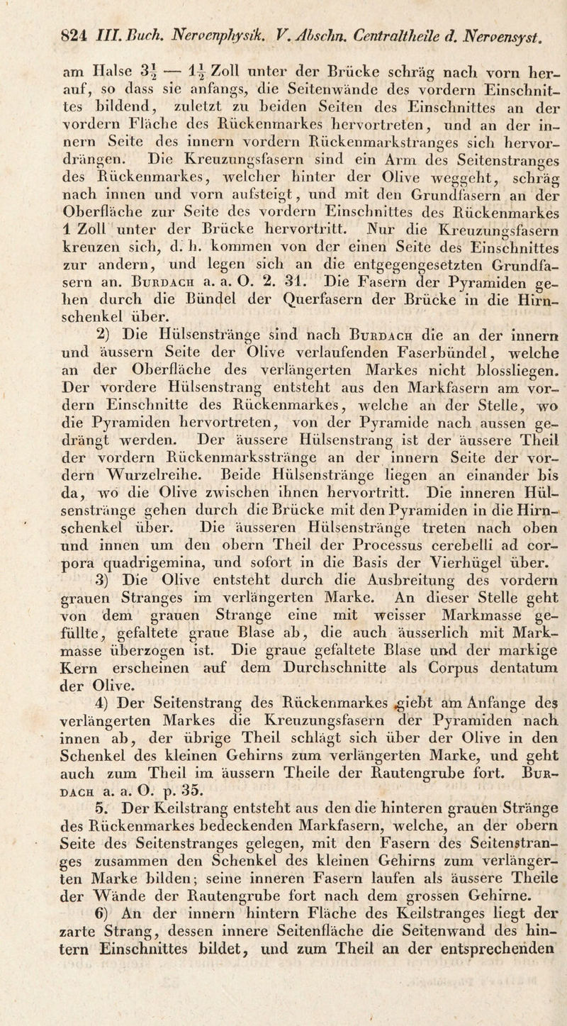 am Halse 3i — li Zoll unter der Brücke scliräg nach vorn her¬ auf, so dass sie anfangs, die Seitenwände des vordem Einschnit¬ tes bildend, zuletzt zu beiden Seiten des Einschnittes an der vordem Fläche des Rückenmarkes hervortreten, und an der in- nern Seite des innern vordem Rückenmarkstranges sich hervor¬ drängen. Die Kreuzungsfasern sind ein Arm des Seitenstranges des Rückenmarkes, welclier hinter der Olive weggeht, schräg nach innen und vorn aufsteigt, und mit den Grundfasern an der Oberfläche zur Seite des vordem Einschnittes des Rückenmarkes 1 Zoll unter der Brücke hervortritt. JVur die Kreuzungsfasern kreuzen sich, d. h. kommen von der einen Seite des Einschnittes zur andern, und legen sich an die entgegengesetzten Grundfa¬ sern an. Burdagh a. a. O. 2. 31. Die Fasern der Pyramiden ge¬ llen durch die Bünflel der Querfasern der Brücke in die Hirn¬ schenkel über. 2) Die Hülsenstränge sind nach Burdach die an der innern und äussern Seite der Olive verlaufenden Faserbündel, welche an der Oberfläche des verlängerten Markes nicht hlossliegen. Der vordere Hülsenstrang entsteht aus den Markfasern am vor¬ dem Einschnitte des Rückenmarkes, welche an der Stelle, wo die Pyramiden hervortreten, von der Pyramide nach aussen ge¬ drängt werden. Der äussere Hülsenstrang ist der äussere Theil der vordem Rückenmarksstränge an der innern Seite der vor¬ dem Wurzelreihe. Beide Hülsenstränge liegen an einander bis da, wo die Olive zwischen ihnen hervortritt. Die inneren Hül¬ senstränge gehen durch die Brücke mit den Pyramiden in die Hirn¬ schenkel ü}3er. Die äusseren Hülsenstränge treten nach oben und innen um den ohern Theil der Processus cerehelli ad Cor¬ pora quadrigemina, und sofort in die Basis der Vierhügel über. 3) Die Olive entsteht durch die Ausbreitung des vordem grauen Stranges im verlängerten Marke. An dieser Stelle geht von dem grauen Strange eine mit weisser Markmasse ge¬ füllte, gefaltete graue Blase ah, die auch äusserlich mit Mark¬ masse überzogen ist. Die graue gefaltete Blase und der markige Kern erscheinen auf dem Durchschnitte als Corpus dentatum der Olive. 4) Der Seitenstrang des Rückenmarkes «gieht am Anfänge des verlängerten Markes die Kreuzungsfasern der Pyramiden nach innen ah, der übrige Theil schlägt sich über der Olive in den Schenkel des kleinen Gehirns zum verlängerten Marke, und geht auch zum Theil im äussern Theile der Rautengruhe fort, Bur¬ dach a. a. O. p. 35. 5. Der Keilstrang entsteht aus den die hinteren grauen Stränge des Rückenmarkes bedeckenden Markfasern, welche, an der ohern Seite des Seitenstranges gelegen, mit den Fasern des Seitenstran¬ ges zusammen den Schenkel des kleinen Gehirns zum verlänger¬ ten Marke bilden; seine inneren Fasern laufen als äussere Theile der Wände der Rautengruhe fort nach dem grossen Gehirne. 6) An der innern hintern Fläche des Keilstranges liegt der zarte Strang, dessen innere Seitenfläche die Seitenwand des hin¬ tern Einschnittes bildet, und zum Theil an der entsprechenden
