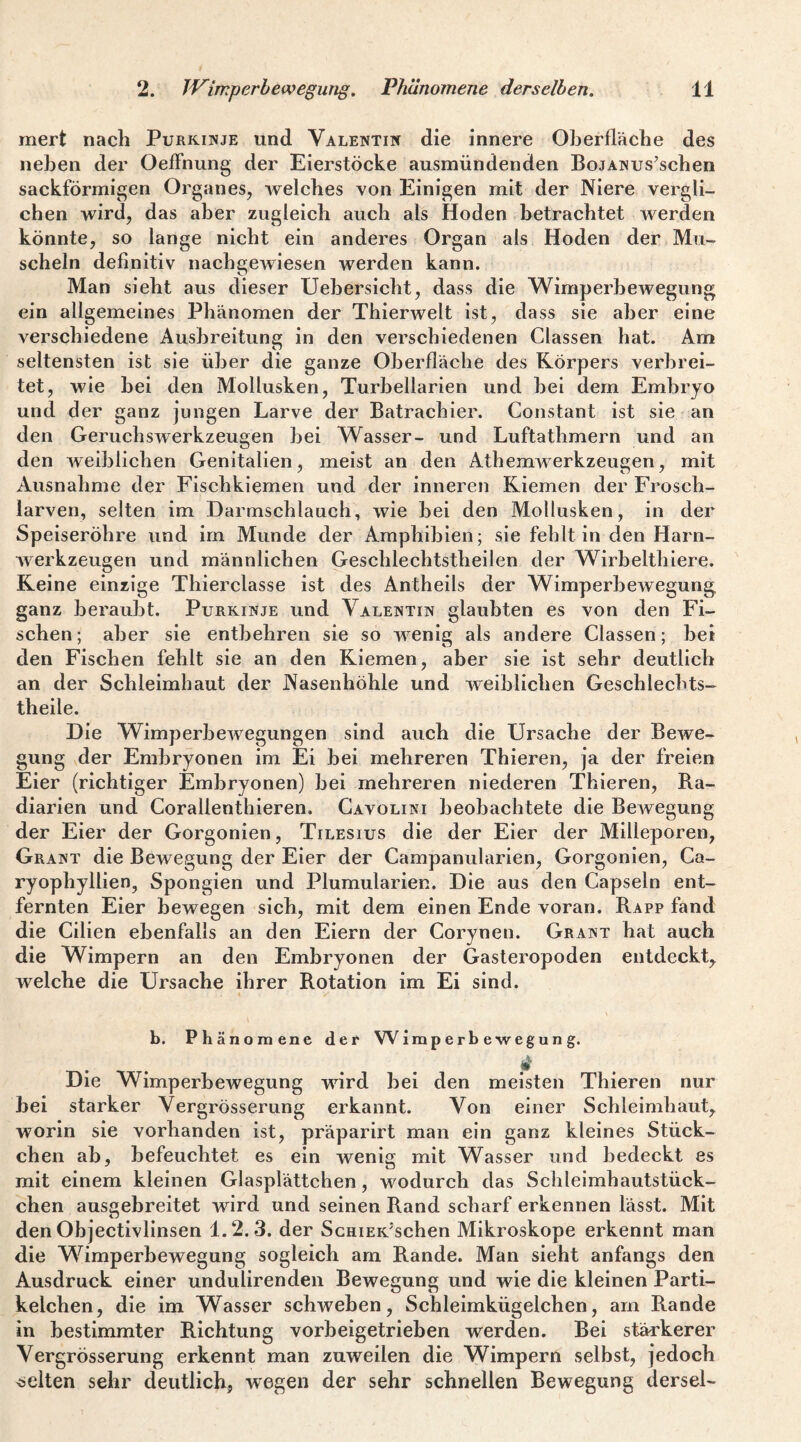 mert nach Purkinje und Valentin die innere Oberfläche des neben der OefFnung der Eierstöcke ausmündenden BojANus’schen sackförmigen Organes, Avelches von Einigen mit der Niere vergli¬ chen wird, das aber zugleich auch als Hoden betrachtet werden könnte, so lange nicht ein anderes Organ als Hoden der Mu¬ scheln definitiv nachgewiesen werden kann. Man sieht aus dieser Uebersicht, dass die Wimperhewegung ein allgemeines Phänomen der Thierwelt ist, dass sie aber eine verschiedene Ausbreitung in den verschiedenen Classen hat. Am seltensten ist sie über die ganze Oberfläche des Körpers verbrei¬ tet, wie hei den Mollusken, Turhellarien und hei dem Embryo und der ganz jungen Larve der Batrachier. Constant ist sie an den Geruchswerkzeugen hei Wasser- und Luftathmern und an den weiblichen Genitalien, meist an den Athemwerkzeugen, mit Ausnahme der Fischkiemen und der inneren Kiemen der Frosch¬ larven, selten im Darmschlauch, wie bei den Mollusken, in der Speiseröhre und irn Munde der Amphibien; sie fehlt in den Harn¬ werkzeugen und männlichen Geschlechtstheilen der Wirbelthiere. Keine einzige Thierclasse ist des Antheils der Wimperhewegung ganz beraubt. Purkinje und Valentin glaubten es von den Fi¬ schen; aber sie entbehren sie so wenig als andere Classen; hei den Fischen fehlt sie an den Kiemen, aber sie ist sehr deutlich an der Schleimhaut der Nasenhöhle und weiblichen Geschlechts- theile. Die Wimperhewegungen sind auch die Ursache der Bewe¬ gung der Embryonen im Ei hei mehreren Thieren, ja der freien Eier (richtiger Embryonen) hei mehreren niederen Thieren, Ra¬ diarien und Corallenthieren. Gavolini beobachtete die Bewegung der Eier der Gorgonien, Tilesius die der Eier der Milleporen, Grant die Bewegung der Eier der Campanularien, Gorgonien, Ca- ryophyllien, Spongien und Plumularien. Die aus den Capsein ent¬ fernten Eier bewegen sich, mit dem einen Ende voran. Rapp fand die Cilien ebenfalls an den Eiern der Corynen. Grant hat auch die Wimpern an den Embryonen der Gasteropoden entdeckt, welche die Ursache ihrer Rotation im Ei sind. b. Phänomene der Wimperbewegung. Die Wimperhewegung wird hei den meisten Thieren nur bei starker Vergrösserung erkannt. Von einer Schleimhaut, worin sie vorhanden ist, präparirt man ein ganz kleines Stück¬ chen ah, befeuchtet es ein wenig mit W^asser und bedeckt es mit einem kleinen Glasplättchen, wodurch das Schleimhautstück¬ chen ausgebreitet wird und seinen Rand scharf erkennen lässt. Mit den Objectivlinsen 1.2.3. der ScHiEK'schen Mikroskope erkennt man die Wimperhewegung sogleich am Rande. Man sieht anfangs den Ausdruck einer undulirenden Bewegung und wie die kleinen Parti¬ kelchen, die im Wasser schweben, Schleimkügelchen, am Rande in bestimmter Richtung vorheigetriehen werden. Bei stärkerer Vergrösserung erkennt man zuweilen die Wimpern selbst, jedoch <5elten sehr deutlich, wegen der sehr schnellen Bewegung dersel-