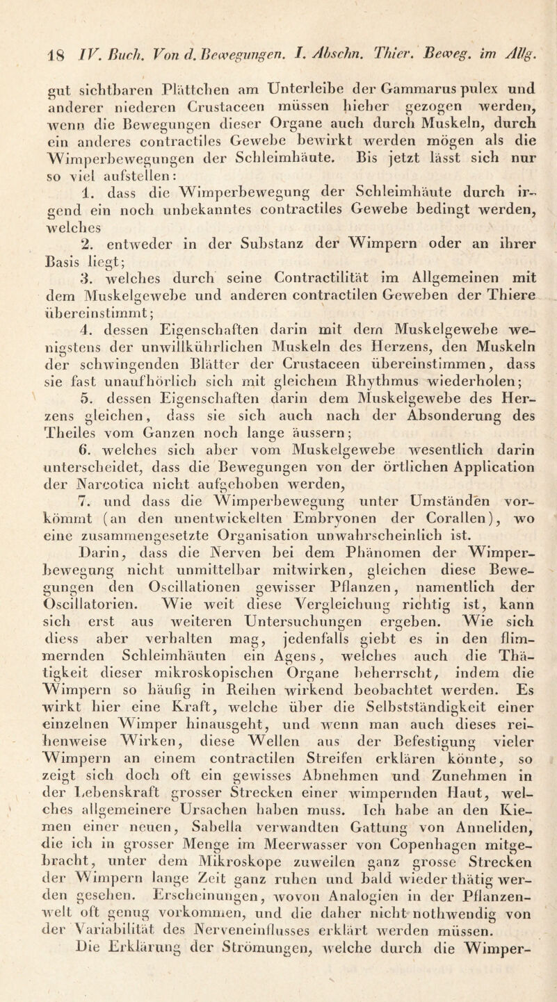 gut siclitharen Plättchen am Unterleihe der Gammarus pulex und anderer niederen Crustaceen müssen hieher gezogen werden, wenn die Bewegungen dieser Organe auch durch Muskeln, durcli ein anderes contractiles Gewebe bewirkt werden mögen als die Wimperhewegungen der Schleimhäute. Bis jetzt lässt sich nur so xiel aufstellen: 1. dass die Wimperhewegung der Schleimhäute durch ir-> gend ein noch unbekanntes contractiles Gewebe bedingt werden, welches 2. entweder in der Substanz der Wimpern oder an ihrer Basis liegt; d. welches durch seine Contractilität im Allgemeinen mit dem Muskelcewehe und anderen contractilen Geweben der Thiere überein stimmt; 4. dessen Eigenschaften darin mit dem Muskelgewebe we¬ nigstens der unwillkührlichen Muskeln des Herzens, den Muskeln der schwingenden Blätter der Crustaceen ühereinstimmen, dass sie fast unaufhörlich sich mit gleichem Rhythmus wiederholen; 5. dessen Eigenschaften darin dem Muskelgewebe des Her¬ zens gleichen, dass sie sich auch nach der Absonderung des Theiles vom Ganzen noch lange äussern; 6*. welches sich aber vom Muskelgewebe wesentlich darin unterscheidet, dass die Bewegungen von der örtlichen Application der Narcotica nicht aufgehoben werden, 7. und dass die Wimperhewegung unter Umständen vor¬ kömmt (an den unentwickelten Embryonen der Corallen), wo eine zusammengesetzte Organisation unwahrscheinlich ist. Darin, dass die Nerven hei dem Phänomen der Wimper¬ hewegung nicht unmittelbar mitwirken, gleichen diese Be^ve- gungen den Oscillationen gewisser Pflanzen, namentlich der Oscillatorien. Wie weit diese Vergleichung richtig ist, kann sich erst aus weiteren Untersuchungen ergehen. Wie sich diess aber verhalten mag, jedenfalls gleht es in den flim¬ mernden Schleimhäuten ein Agens, welches auch die Thä- tigkeit dieser mikroskopischen Organe beherrscht, indem die Wimpern so häufig in Reihen wirkend beobachtet werden. Es wirkt hier eine Kraft, welche über die Selbstständigkeit einer einzelnen Wimper hinausgeht, und w^enn man auch dieses rei¬ henweise Wirken, diese Wellen aus der Befestigung vieler Wimpern an einem contractilen Streifen erklären könnte, so zeigt sich doch oft ein gewisses Ahnehmen und Zunehmen in der l/chenskraft grosser Strecken einer würnpernden Haut, wel¬ ches allgemeinere Ursachen haben muss. Ich habe an den Kie¬ men einer neuen, Sahella verwandten Gattung von Anneliden, die ich in grosser Menge im Meerwasser von Copenhagen mitge- hraeht, unter dem Mikroskope zuweilen ganz grosse Strecken der Wimpern lange Zeit ganz ruhen und bald wieder thätig wer¬ den gesehen. Erscheinungen, avovoii Analogien in der Pflanzen¬ welt oft genug Vorkommen, und die daher nicht nothwendig von der Variabilität des Nerveneinfliisses erklärt werden müssen. Die Erklärung der Strömungen, welche durch die Wimper-