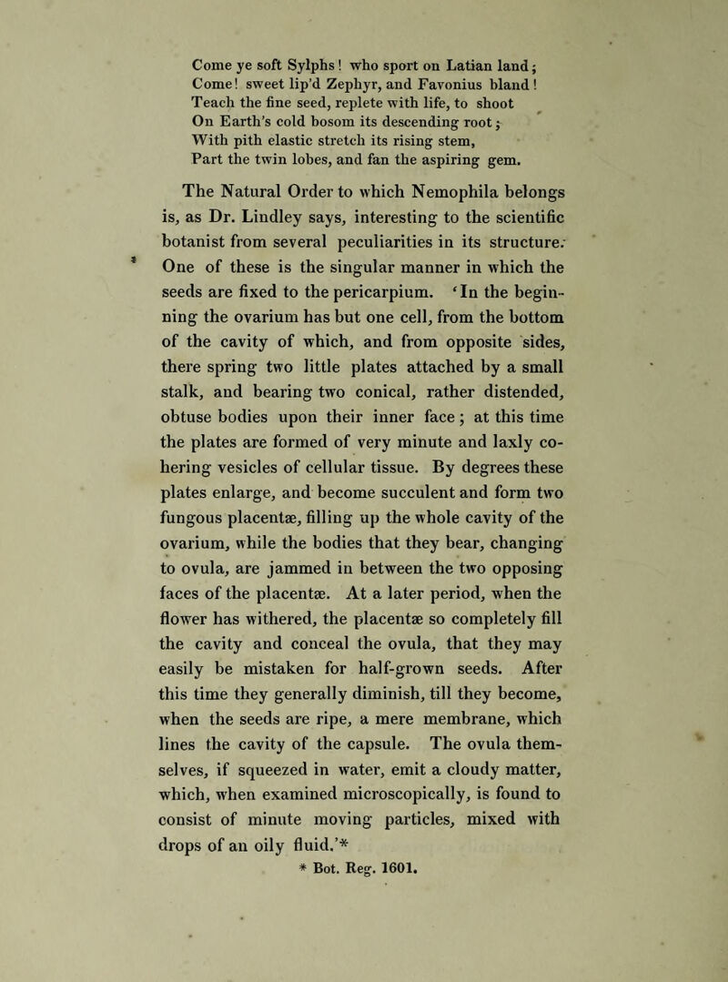 Come ye soft Sylphs! who sport on Latian land; Come! sweet lip’d Zephyr, and Favonius bland I Teach the fine seed, replete with life, to shoot On Earth’s eold bosom its descending root; With pith elastie stretch its rising stem. Part the twin lobes, and fan the aspiring gem. The Natural Order to which Nemophila belongs is, as Dr. Lindley says, interesting to the scientific botanist from several peculiarities in its structure. One of these is the singular manner in which the seeds are fixed to the pericarpium. ‘In the begin¬ ning the ovarium has but one cell, from the bottom of the cavity of which, and from opposite sides, there spring two little plates attached by a small stalk, and bearing two conical, rather distended, obtuse bodies upon their inner face; at this time the plates are formed of very minute and laxly co¬ hering vesicles of cellular tissue. By degrees these plates enlarge, and become succulent and form two fungous placentae, filling up the whole cavity of the ovarium, while the bodies that they bear, changing to ovula, are jammed in between the two opposing faces of the placentae. At a later period, when the flower has withered, the placentae so completely fill the cavity and conceal the ovula, that they may easily be mistaken for half-grown seeds. After this time they generally diminish, till they become, when the seeds are ripe, a mere membrane, which lines the cavity of the capsule. The ovula them¬ selves, if squeezed in water, emit a cloudy matter, which, when examined microscopically, is found to consist of minute moving particles, mixed with drops of an oily fluid.’*