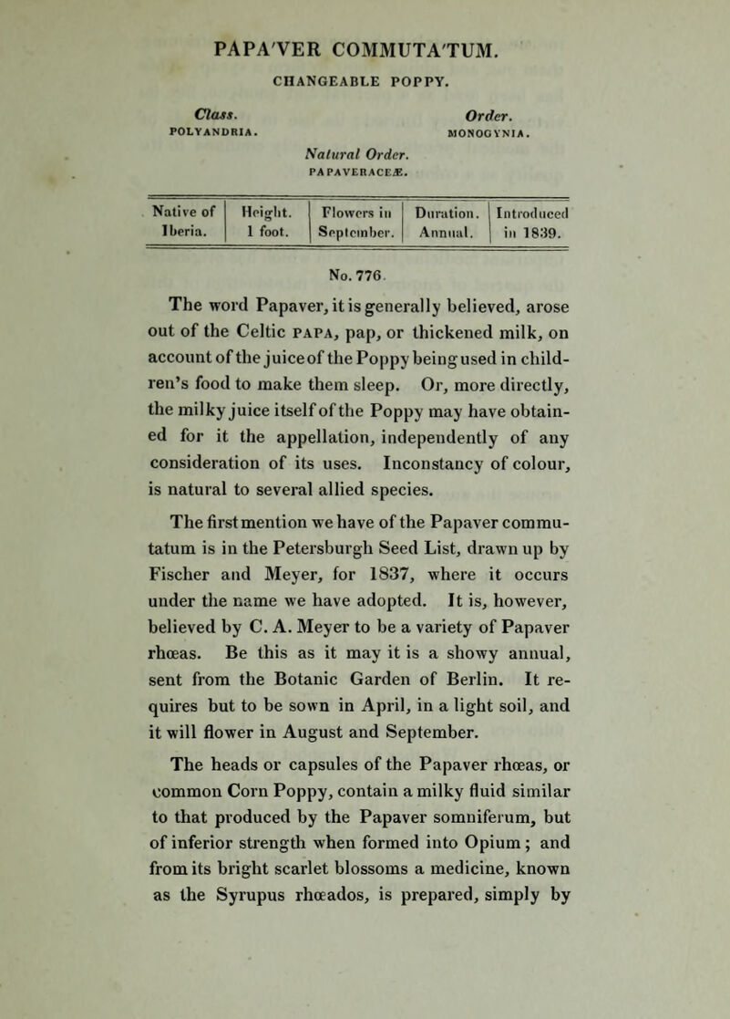 PAPA'VER COMMUTA'TUM. CHANGEABLE POPPY. Order. MONOOVNIA. Salural Order. PAPAVERACE*. Native of Heiglit. Flowers in Duration. Introduced Iberia. 1 foot. September. Annual. in 18:19. No. 776, The word Papaver, it is generally believed, arose out of the Celtic papa, pap, or thickened milk, on accountof the juiceof the Poppy being used in child¬ ren’s food to make them sleep. Or, more directly, the milky juice itself of the Poppy may have obtain¬ ed for it the appellation, independently of any consideration of its uses. Inconstancy of colour, is natural to several allied species. The first mention we have of the Papaver commu- tatum is in the Petersburg!! Seed List, drawn up by Fischer and Meyer, for 1837, where it occurs under the name we have adopted. It is, however, believed by C. A. Meyer to be a variety of Papaver rhoeas. Be this as it may it is a showy annual, sent from the Botanic Garden of Berlin. It re¬ quires but to be sown in April, in a light soil, and it will flower in August and September. The heads or capsules of the Papaver rhoeas, or common Corn Poppy, contain a milky fluid similar to that produced by the Papaver somuiferum, but of inferior strength when formed into Opium; and from its bright scarlet blossoms a medicine, known as the Syrupus rhoeados, is prepared, simply by Cltus. FOLYANDRIA.