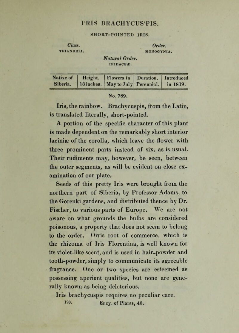 I RIS BRACHYCUS'PIS. SHORT-POINTED IRIS. Order. MONOOYNtA. Natural Order. iridacba:. Native of Height. Flowers in Duration. Introduced Siberia. 18 indies. May to July Perennial. in 1819. No. 789. Iris, the rainbow. Brachycuspis, from the Latin, is translated literally, short-pointed. A portion of the specific character of this plant is made dependent on the remarkably short interior laciniae of the corolla, which leave the flower with three prominent parts instead of six, as is usual. Their rudiments may, however, be seen, between the outer segments, as will be evident on close ex¬ amination of our plate. Seeds of this pretty Iris were brought from the northern part of Siberia, by Professor Adams, to the Gorenki gardens, and distributed thence by Dr. Fischer, to various parts of Europe. We are not aware on what grounds the bulbs are considered poisonous, a property that does not seem to belong to the order. Orris root of commerce, which is the rhizoma of Iris Florentina, is well known for its violet-like scent, and is used in hair-powder and tooth-powder, simply to communicate its agreeable fragrance. One or two species are esteemed as possessing aperient qualities, but none are gene¬ rally known as being deleterious. Iris brachycuspis requires no peculiar care, l®®' Ency. of Plants, 46. Class. TRIANDRIA.