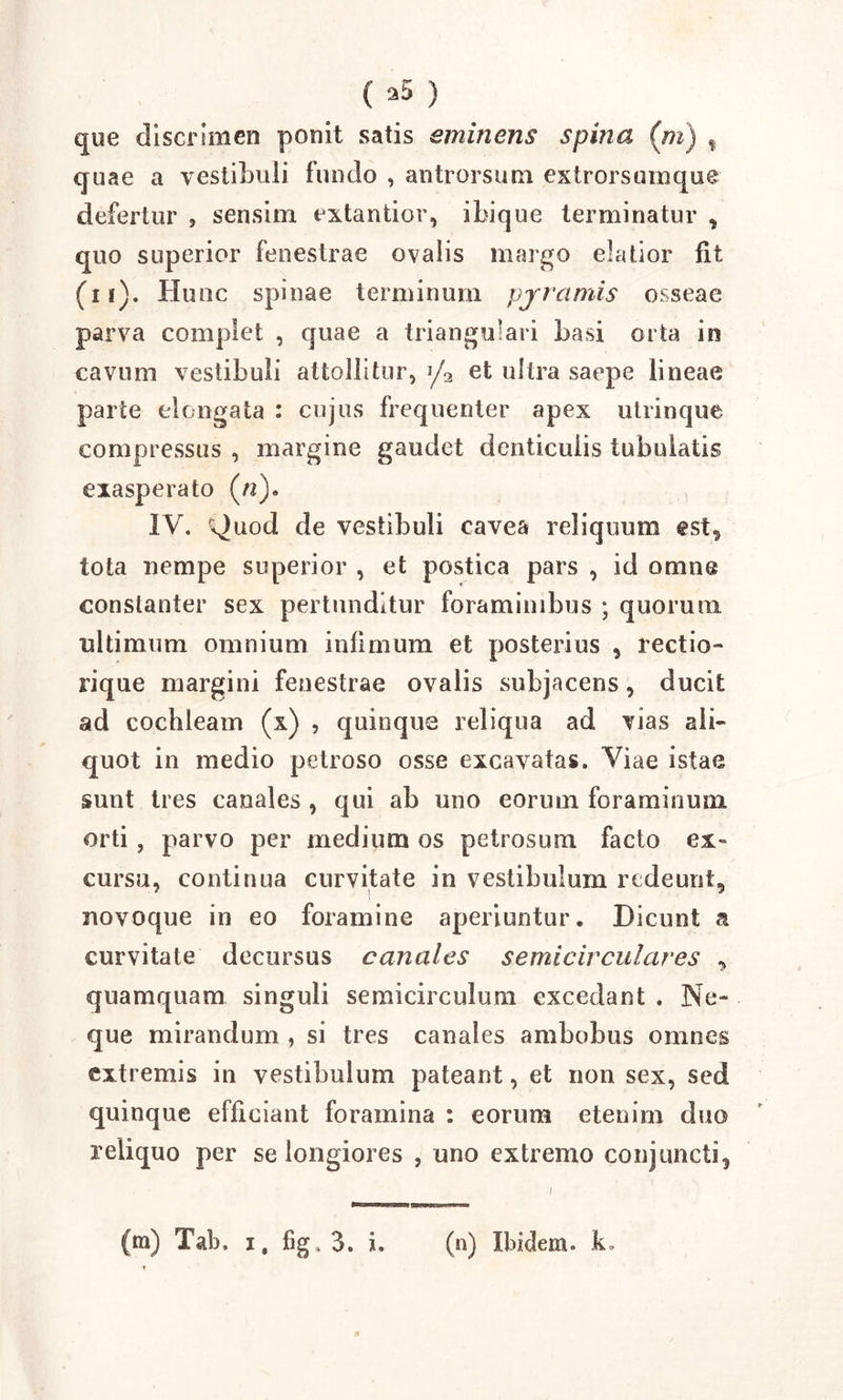 que discrimen ponit satis eminens spina (m) % quae a vestibuli fundo , antrorsutn extrorsumque defertur , sensim extantior, ibique terminatur , quo superior fenestrae ovalis margo elatior fit (ii). Hunc spinae terminum pjramis osseae parva complet , quae a triangulari basi orta in cavum vestibuli attollitur, y3 et ultra saepe lineae parte elongata : cujus frequenter apex utrinque compressus , margine gaudet denticulis tubulatis exasperato (/?). IV. Quod de vestibuli cavea reliquum est, tota nempe superior , et postica pars , id omne constanter sex pertunditur foraminibus ; quorum ultimum omnium infimum et posterius , rectio- rique margini fenestrae ovalis subjacens, ducit ad cochleam (x) , quinque reliqua ad vias ali- quot in medio petroso osse excavatas. Viae istae sunt tres canales , qui ab uno eorum foraminum orti , parvo per medium os petrosum facto ex- cursu, continua curvitate in vestibulum redeunt, novoque in eo foramine aperiuntur. Dicunt a curvitate decursus canales semicirculares , quamquam singuli semicirculum excedant . Ne- que mirandum , si tres canales ambobus omnes extremis in vestibulum pateant, et non sex, sed quinque efficiant foramina : eorum etenim duo reliquo per se longiores , uno extremo conjuncti,